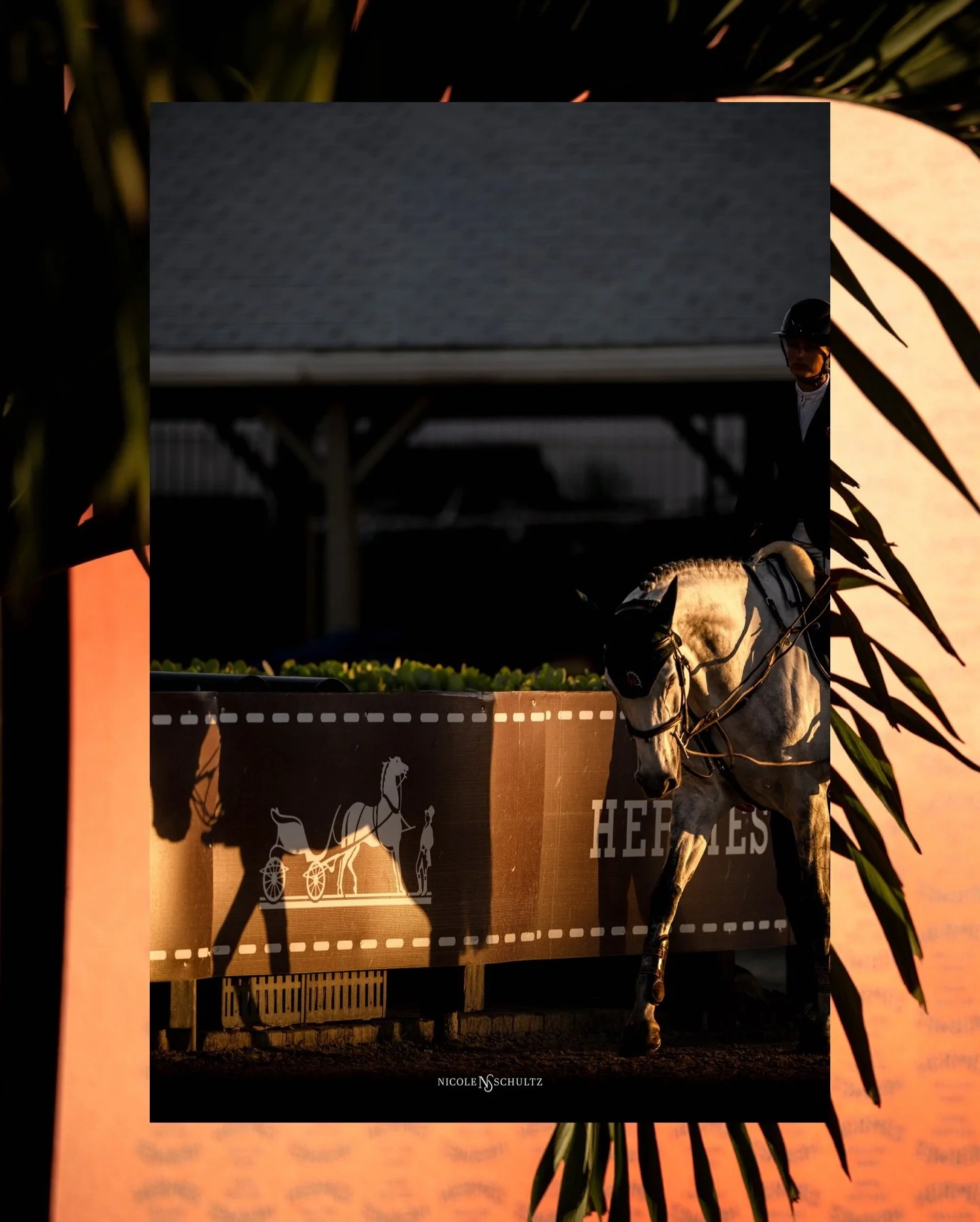 @hermes 1.50 final WEF 11 🧡