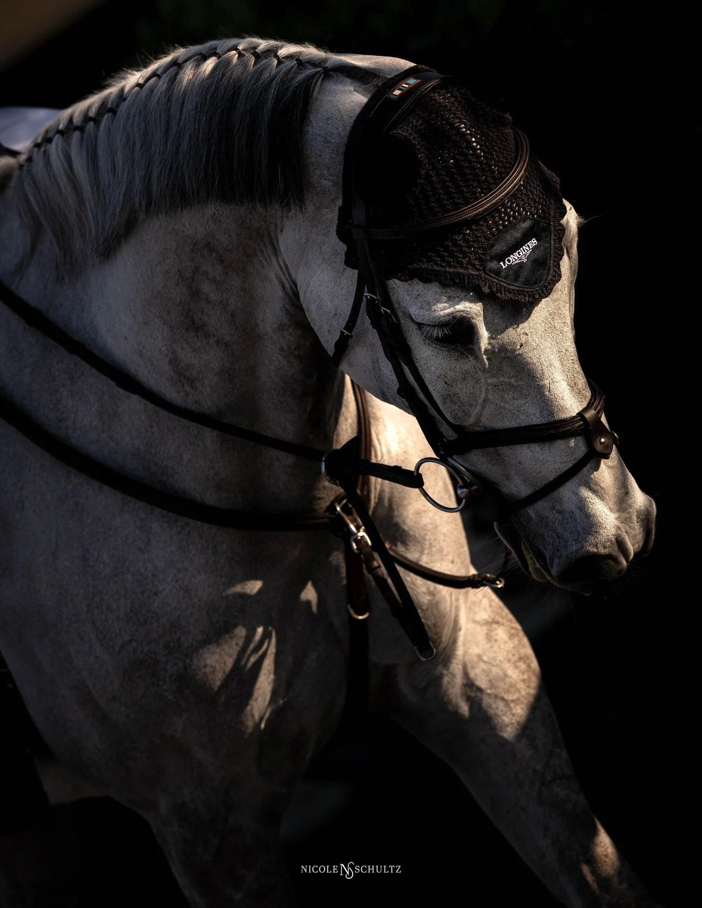 First day of Rolex week with Checker 47