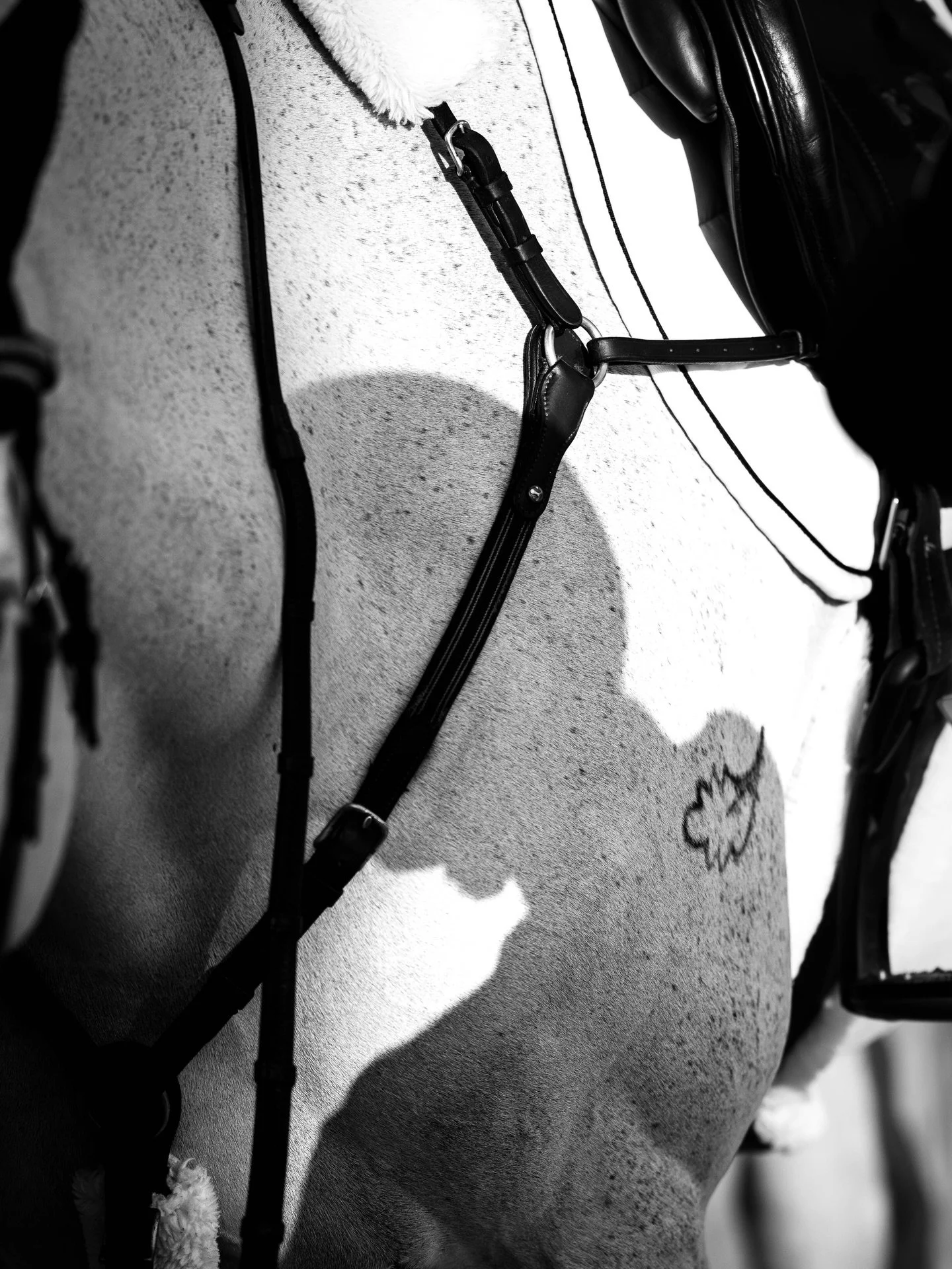 Moments passing by ✨ #WEF12