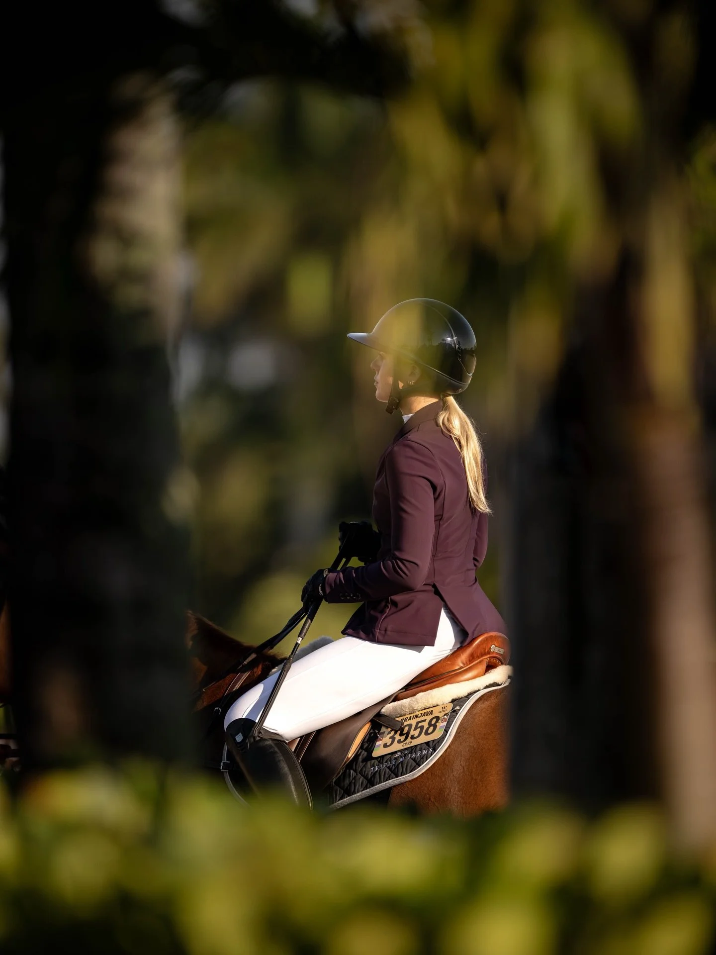 One more day through the palms 🌴