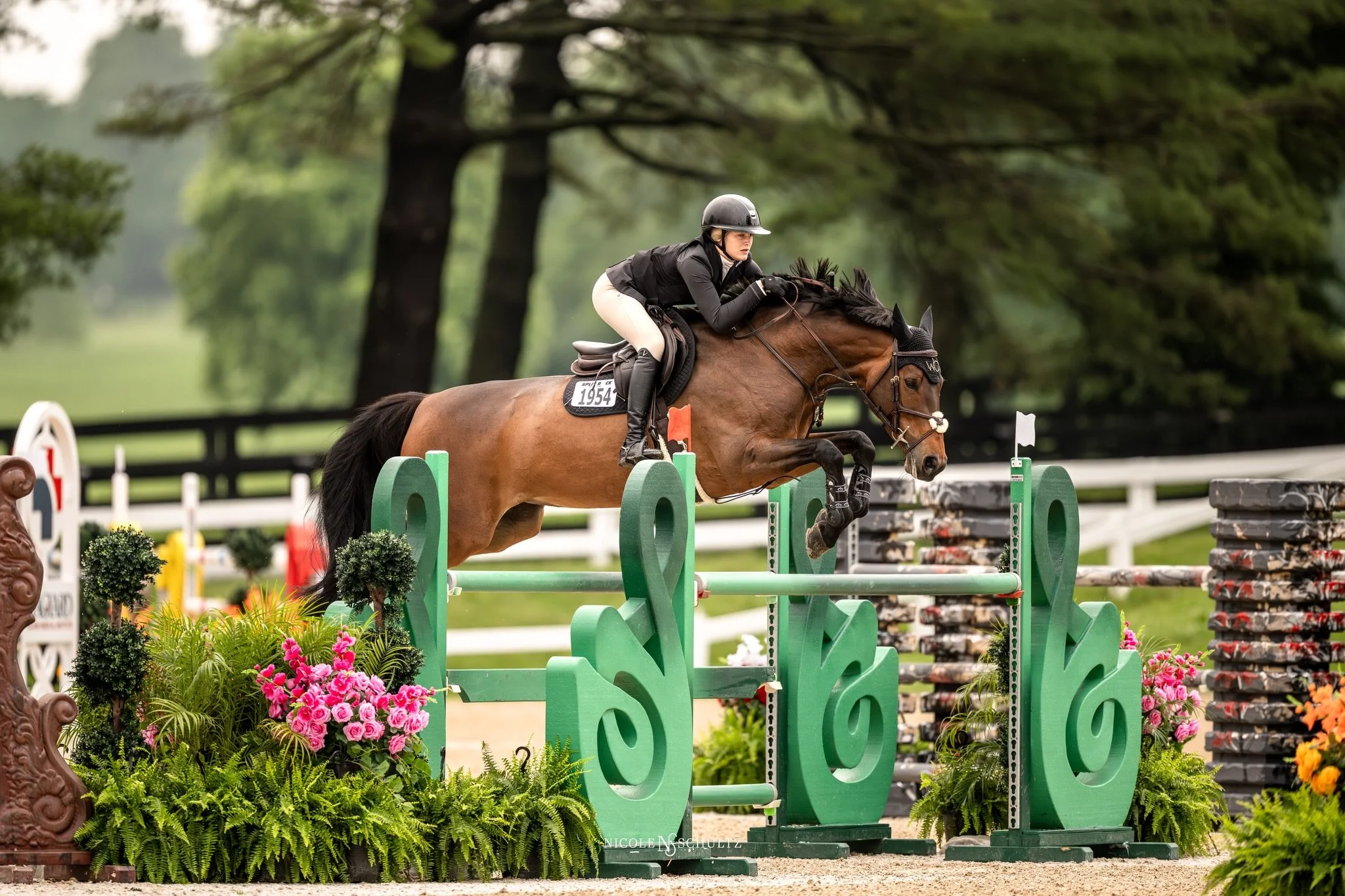 🌸spring &amp; summer schedule🎥📸
ESP Spring 4
Kentucky Spring Classic 
SRJT June: Second week 
GLEF 3, 4
NAYC