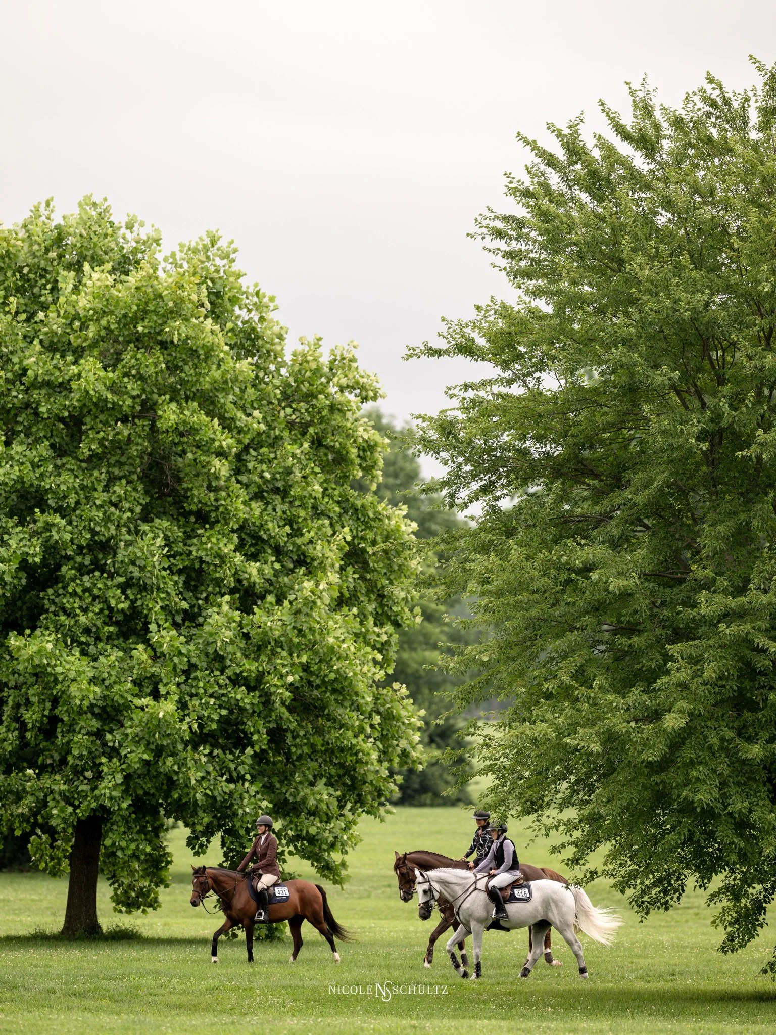 Horse shows are better with friends 🤍