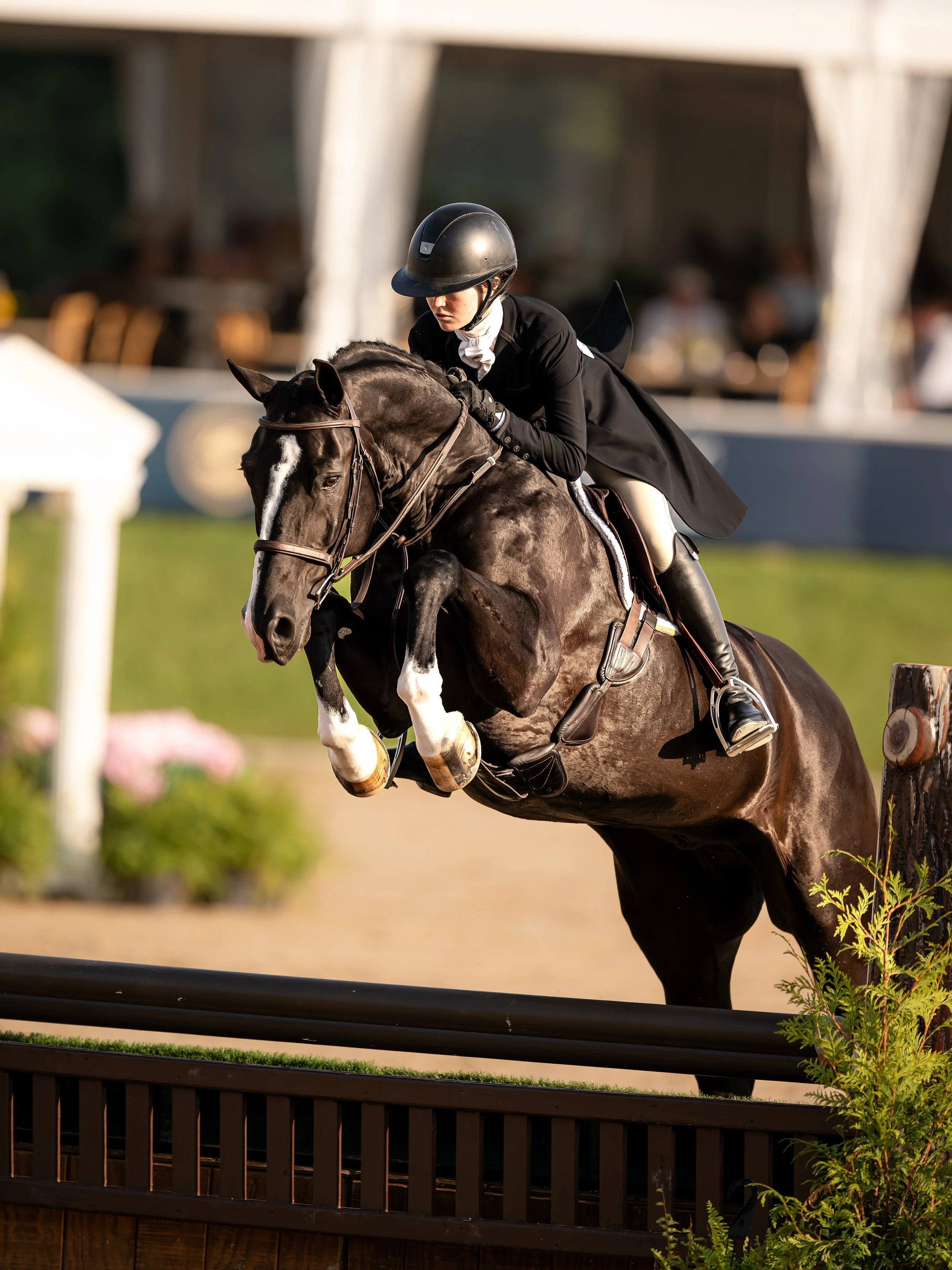 Hunters&hellip; jumpers&hellip; or equitation? 👇🏻