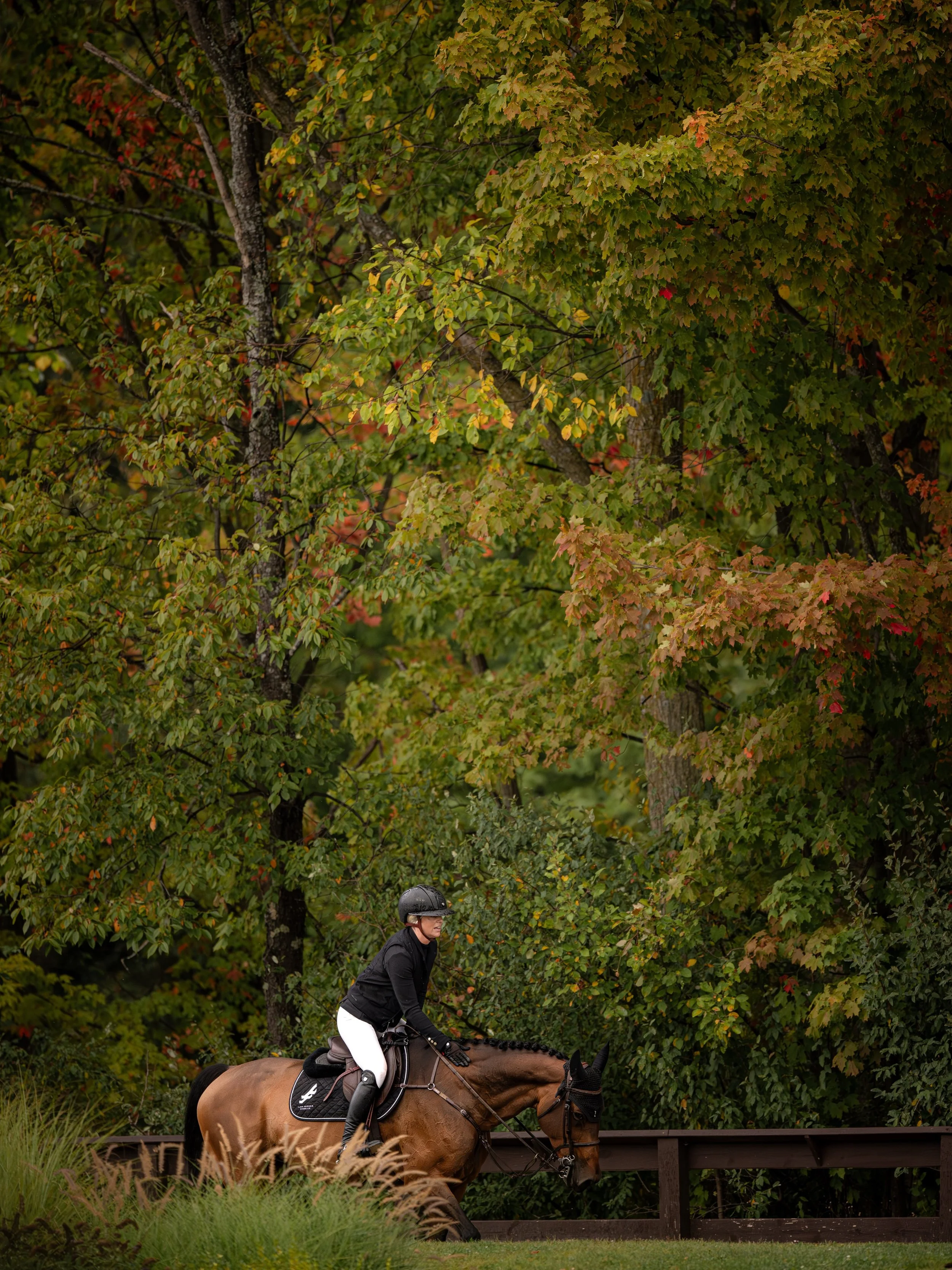 Crisp cool air and fall colors 🔜