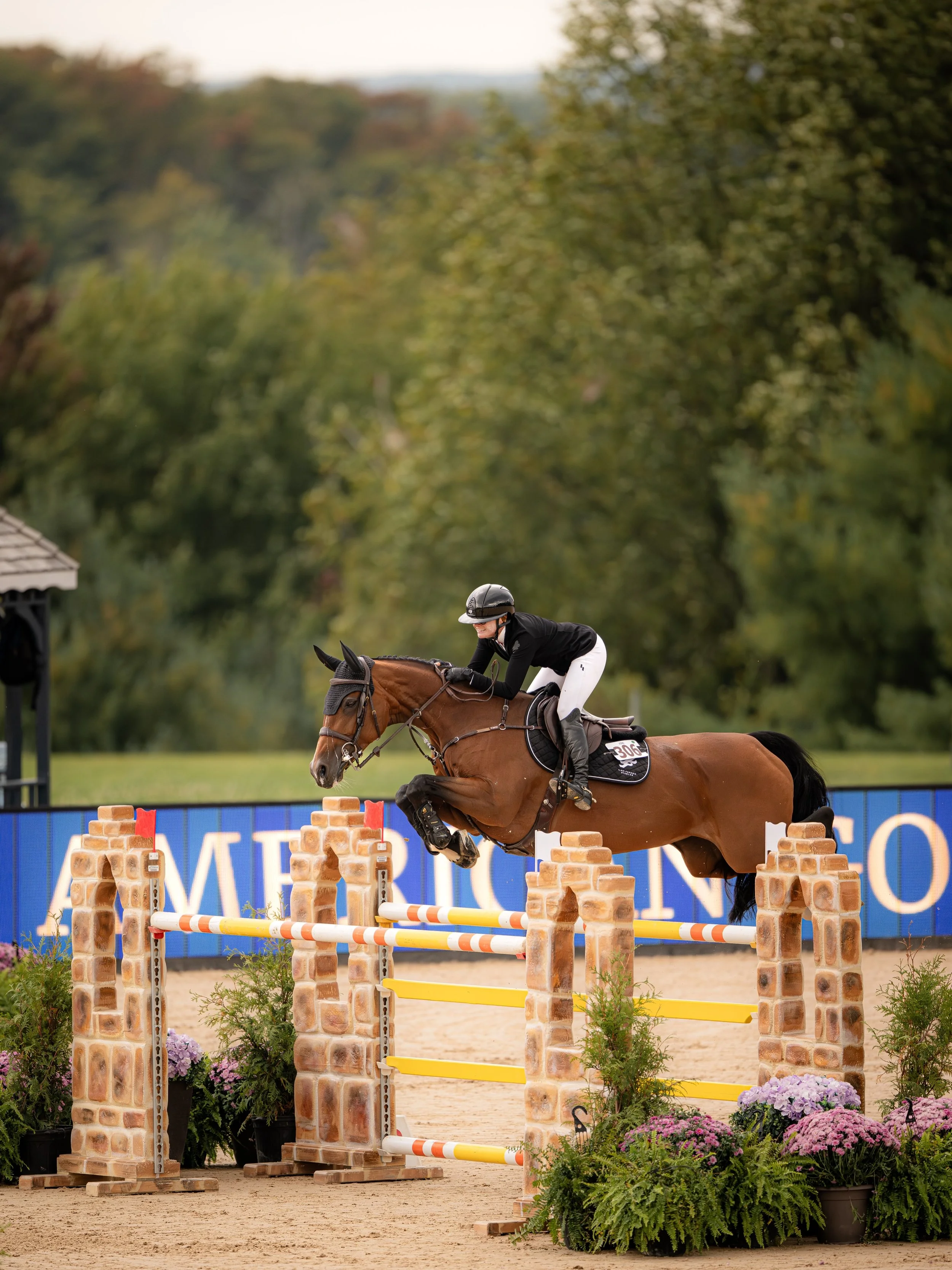 Counting down till I&rsquo;m back at @traversecityhorseshows ✨🎉