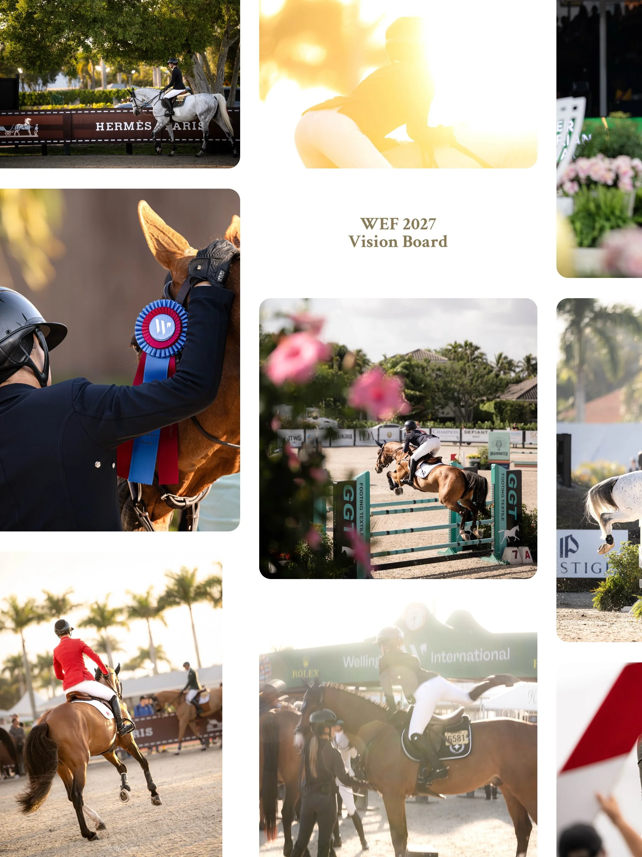 POV: you&rsquo;re on Pinterest saving photos to your WEF 2027 vision board 🥰✨