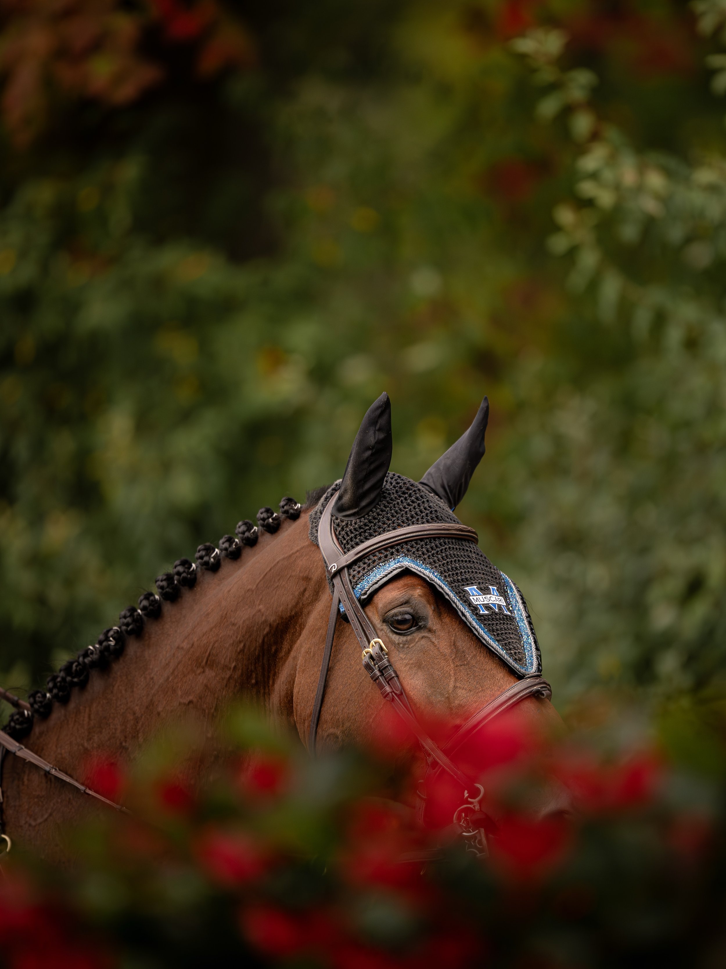 American Gold Cup &amp; Tryon Fall 3-4 📸✨🎥
Potentially adding Tryon Fall 5 based off interest. I&rsquo;m looking forward to escaping Florida heat for some northern fall weather. 🍂