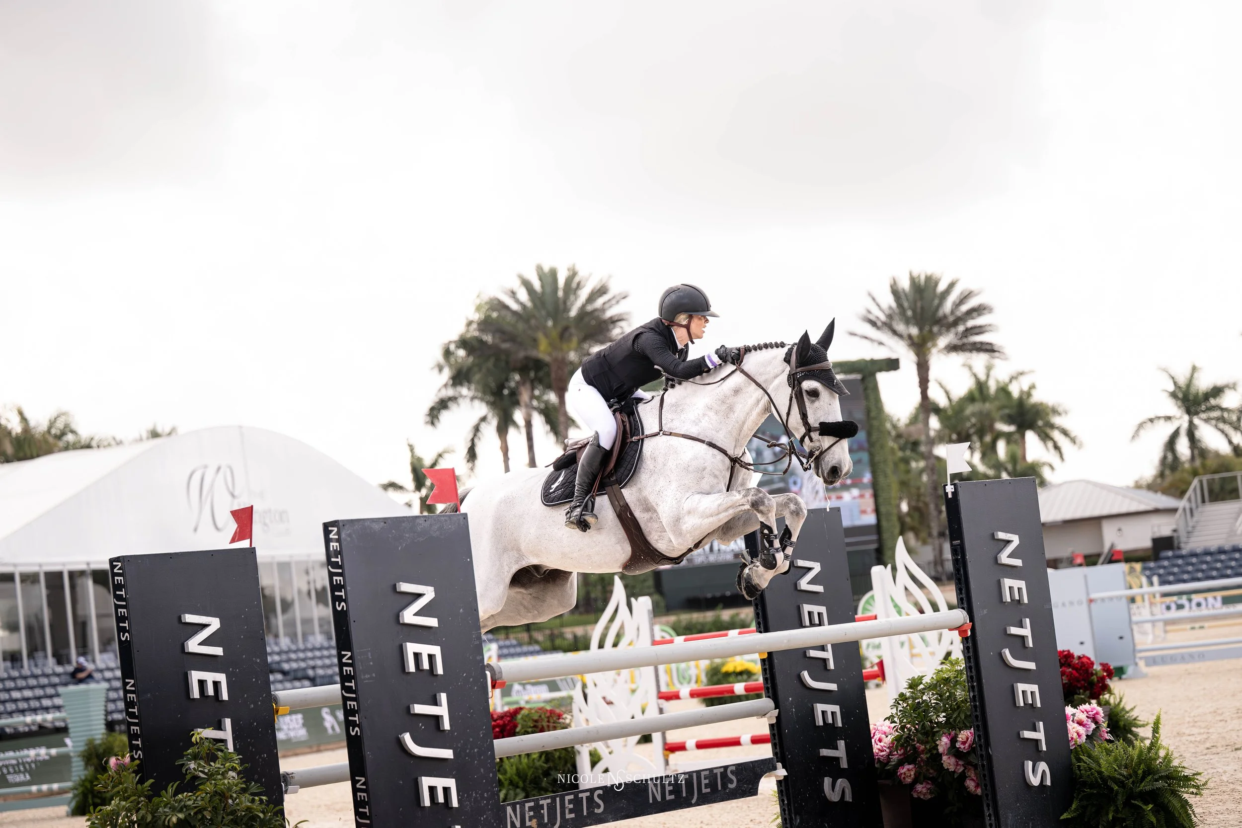 WEF9SATFL--11.JPG