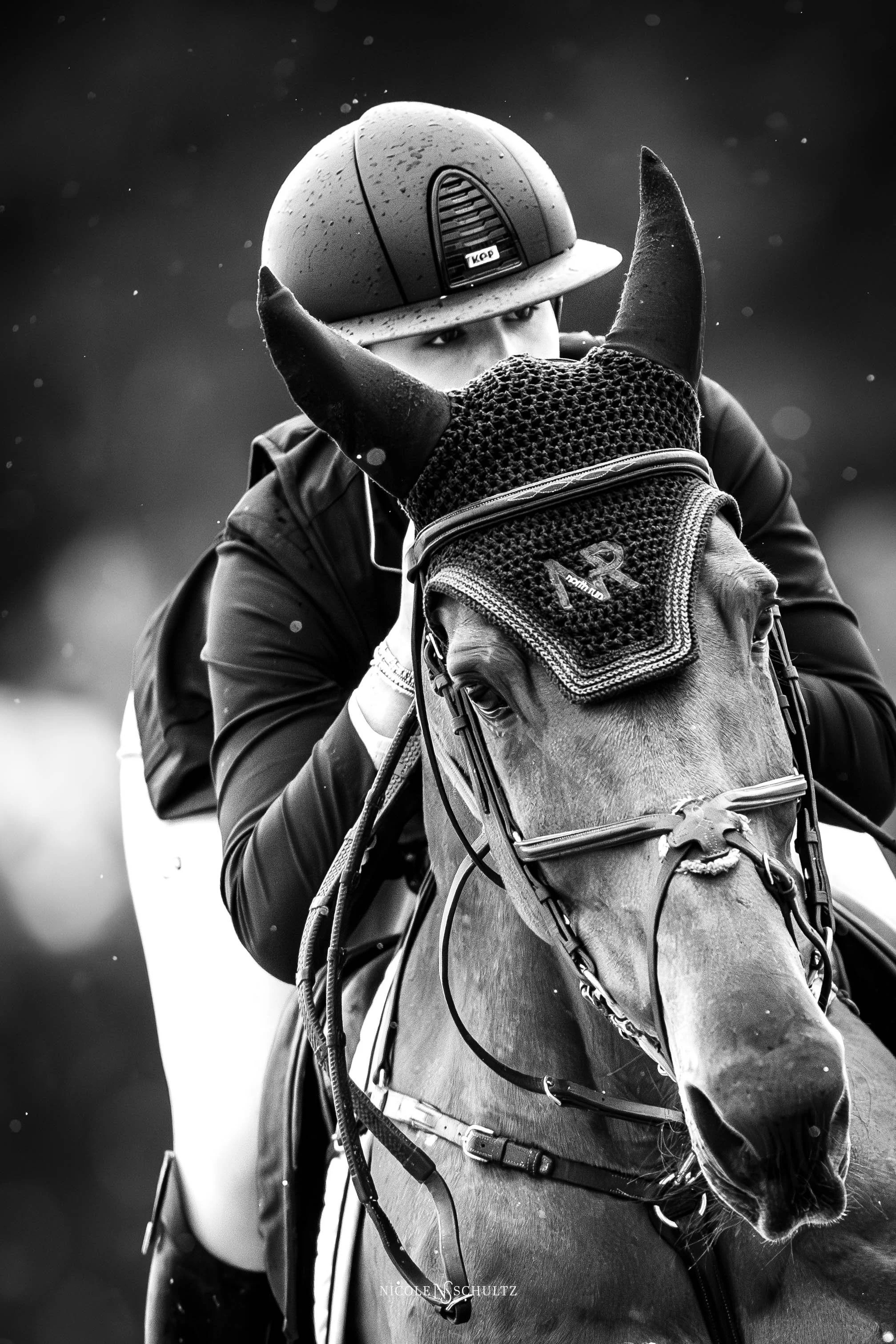 WEF4SATEA--31.JPG