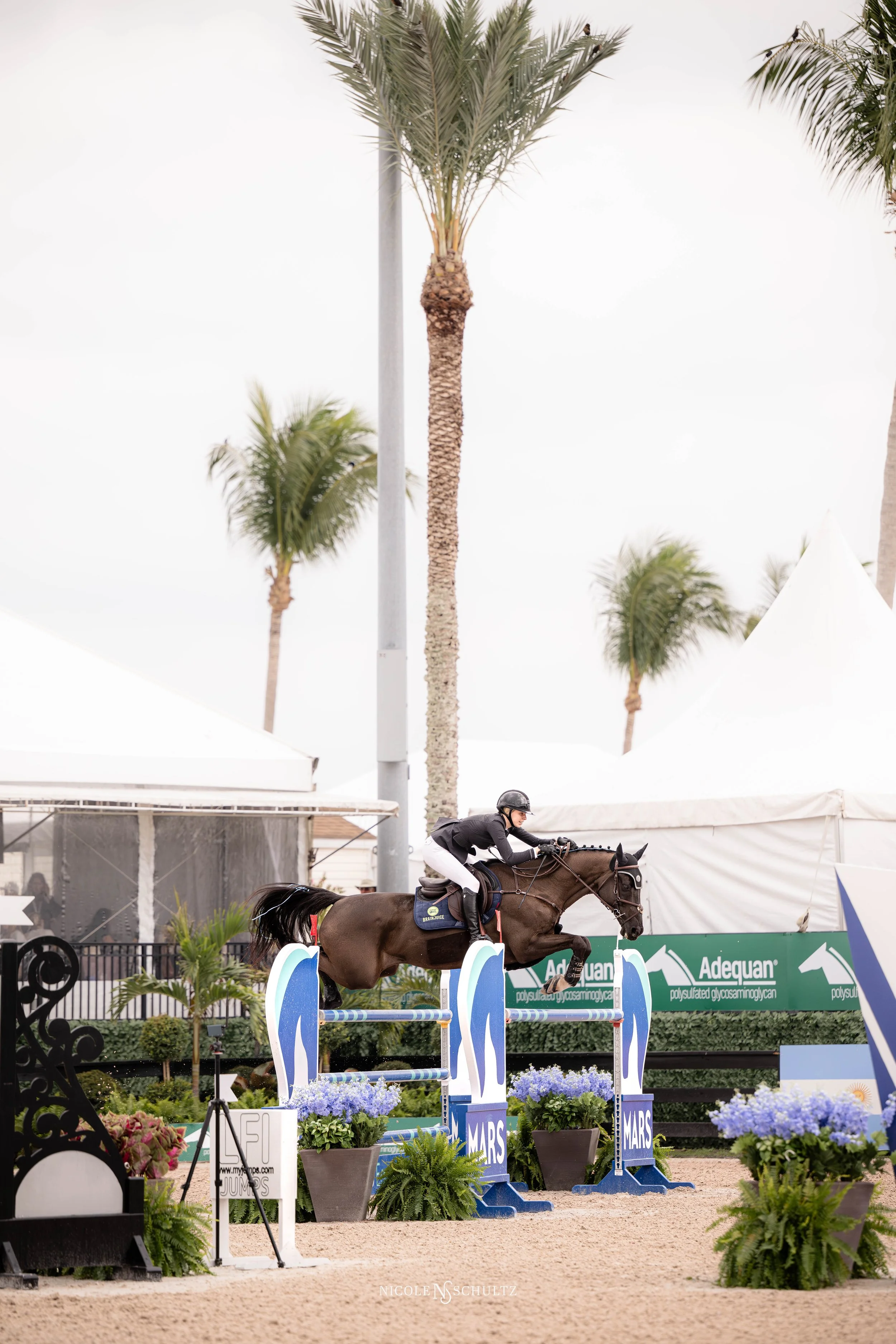 WEF4U25SR--14.JPG