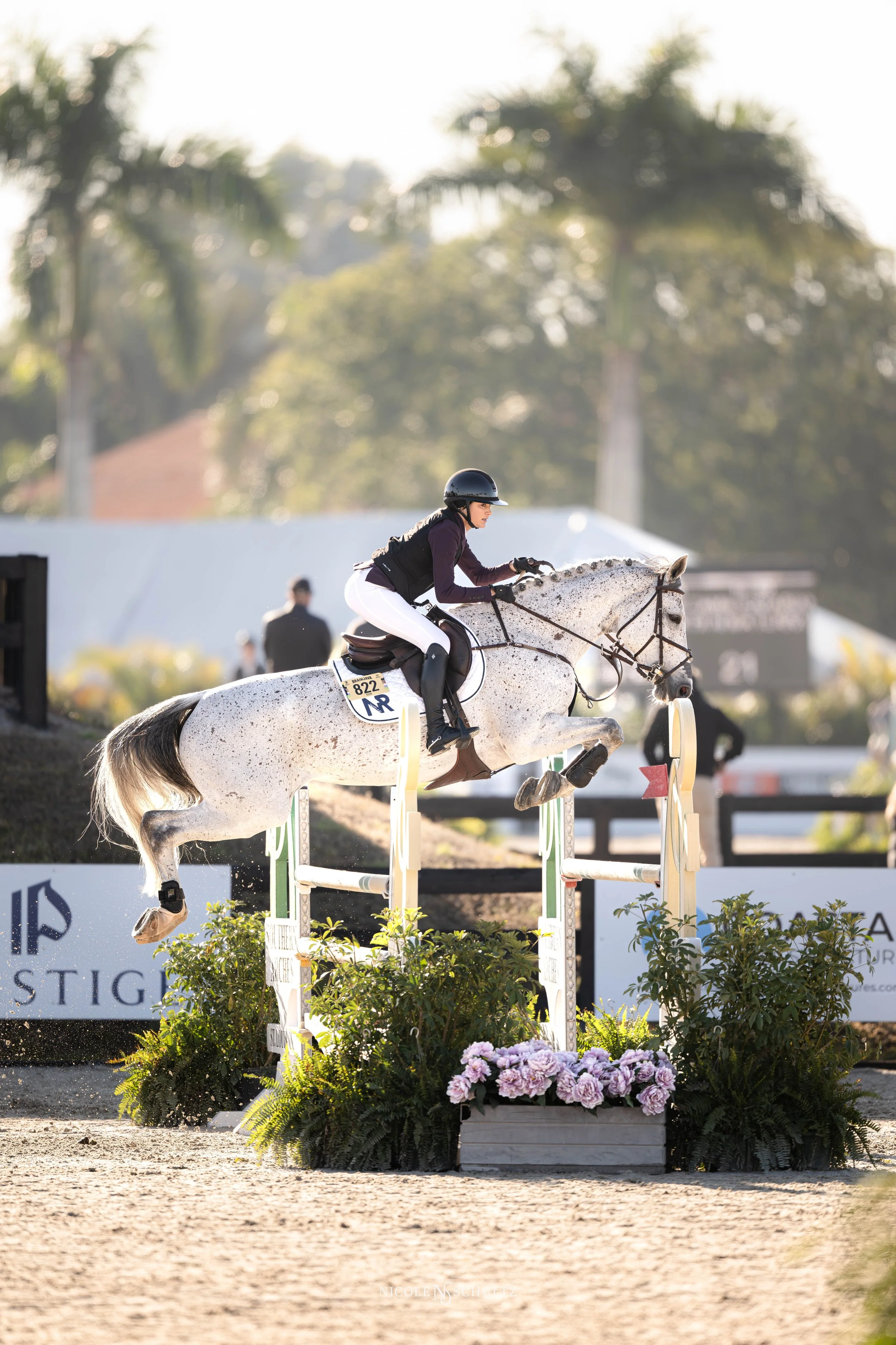 WEF5FRIZR--6.JPG