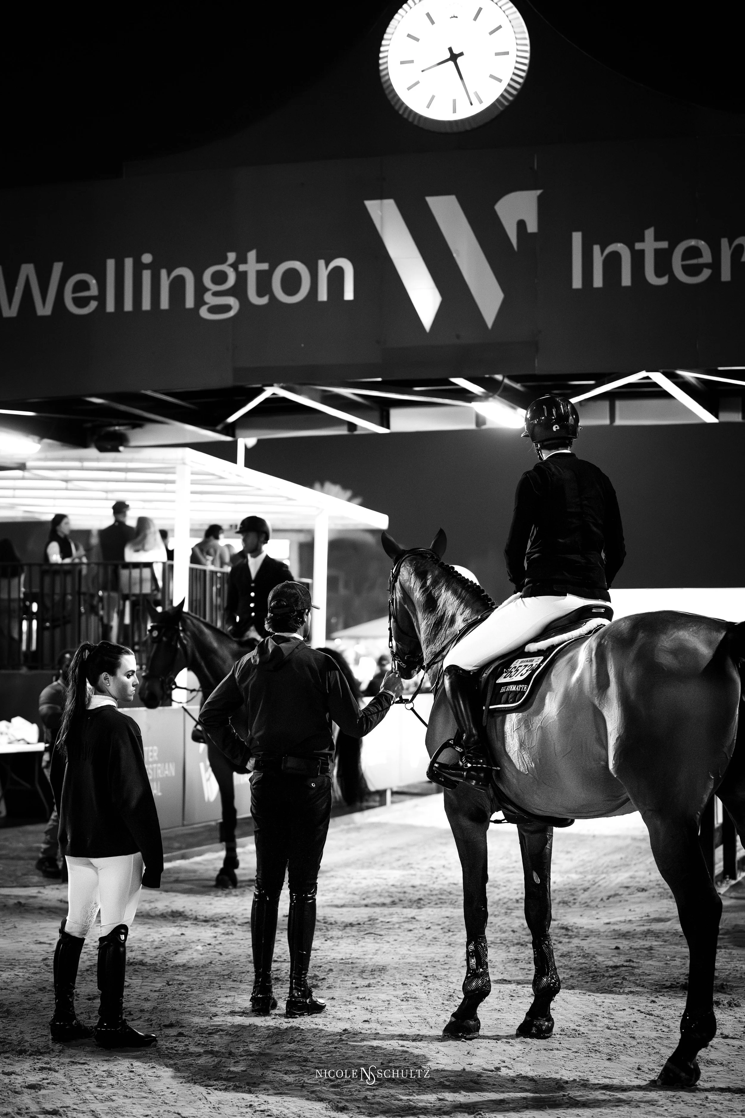 WEF11SNLVH--14.JPG