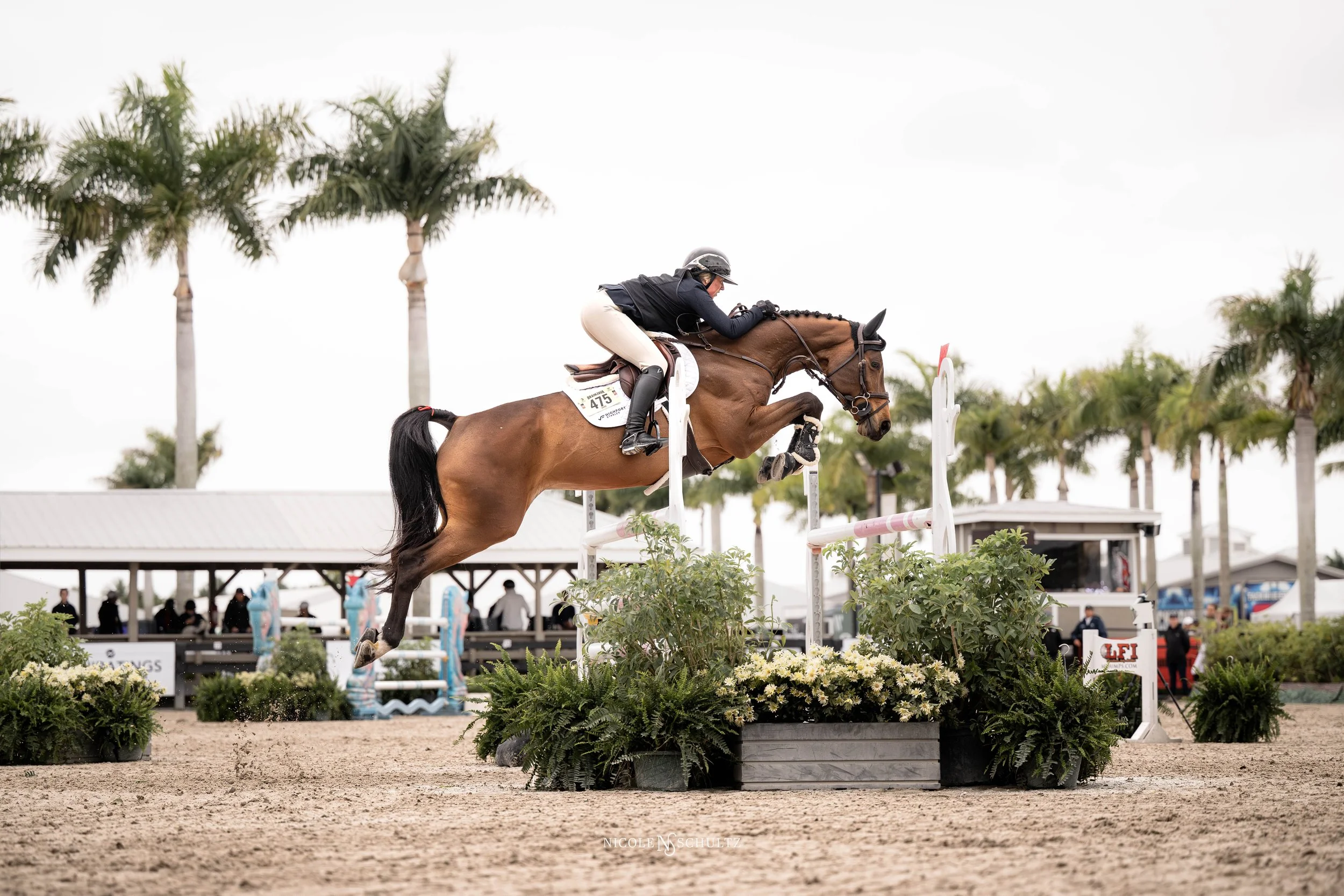 WEF11WEDKJ--9.JPG