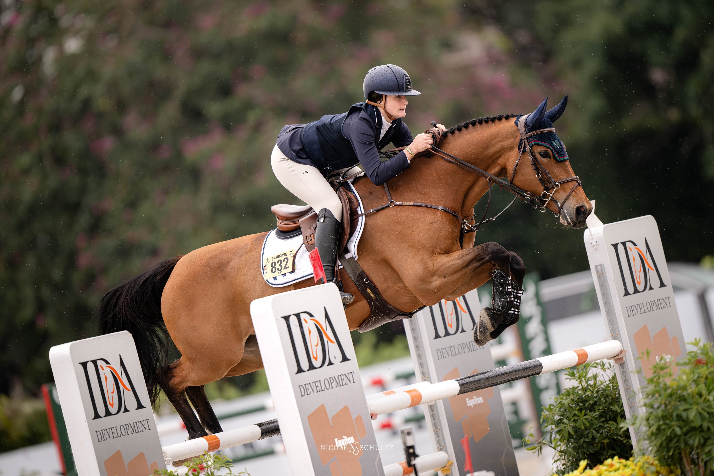 WEF4SATEA--22.JPG