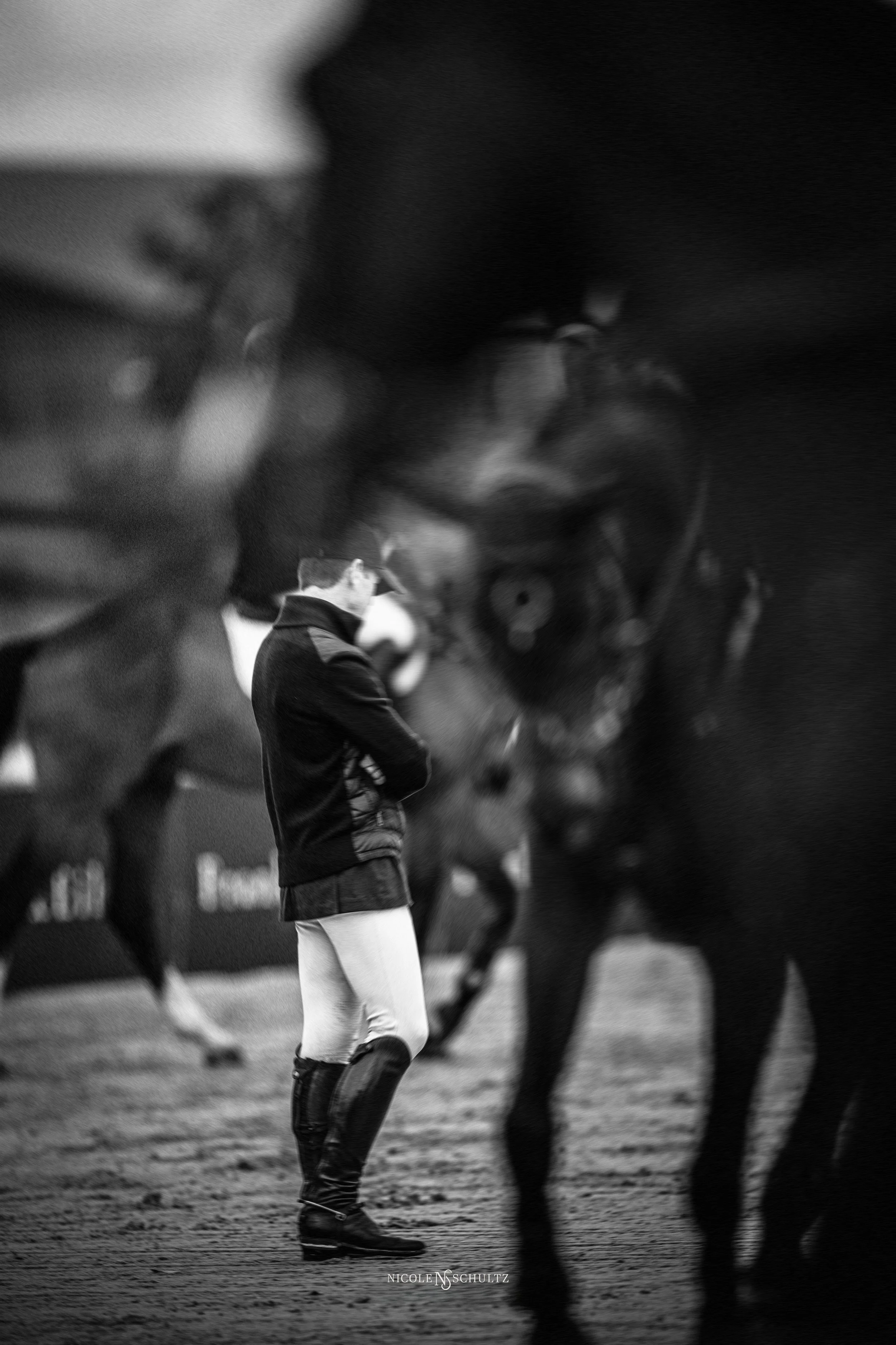 TOCIIISUNGOLDCUP-9284.JPG