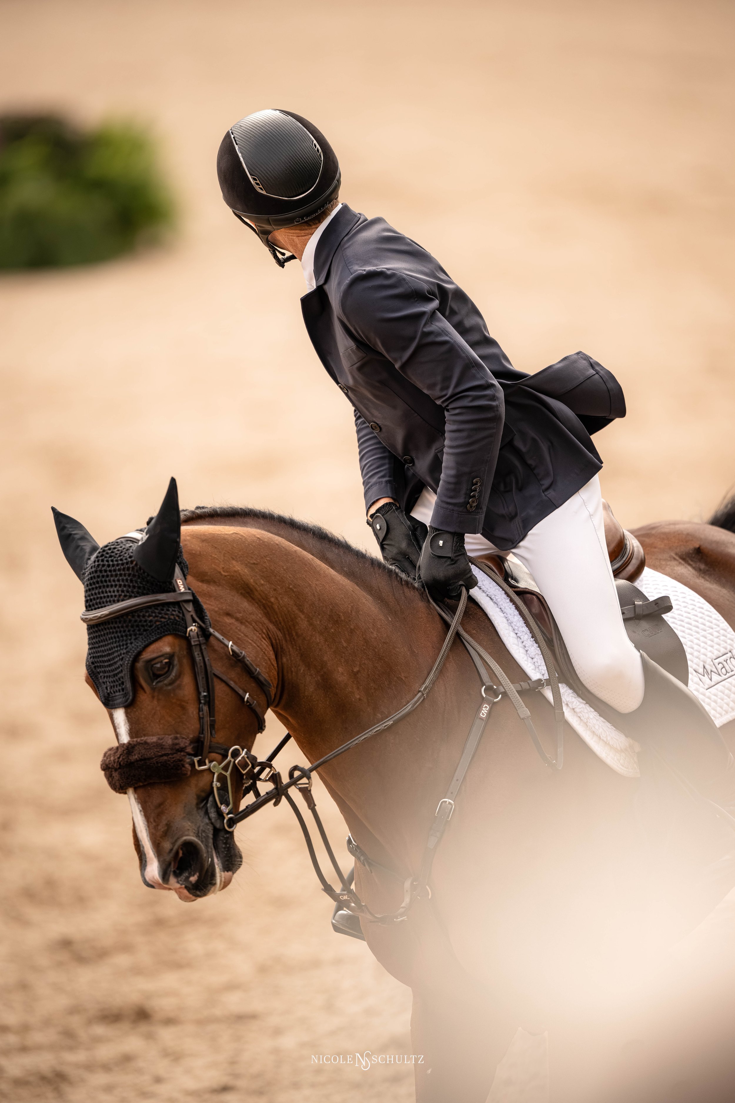 TOCIIISUNGOLDCUP-9559.JPG
