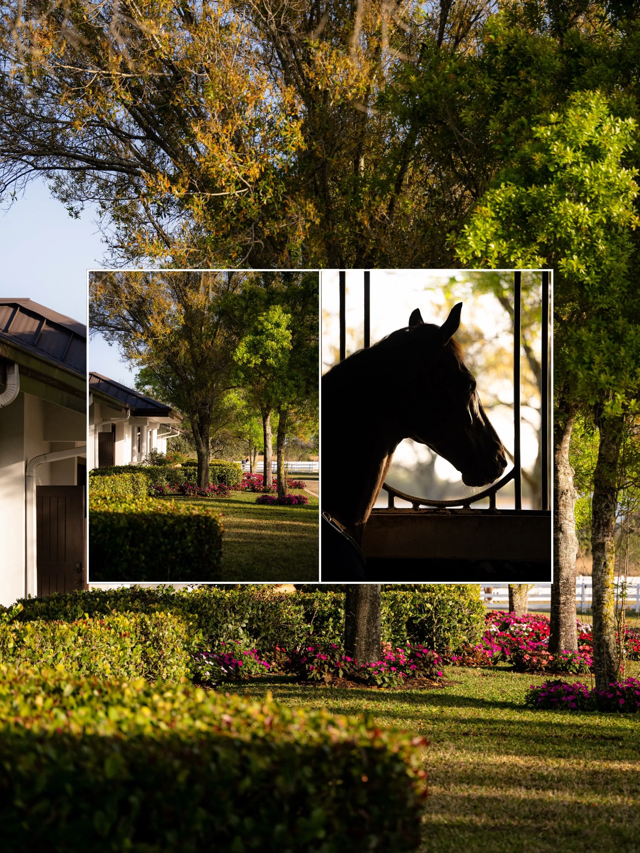 Ask me what a perfect day spent at the barn looks like and I&rsquo;ll show you. 

Now booking farm shoots through December for the Wellington and Loxahatchee area.