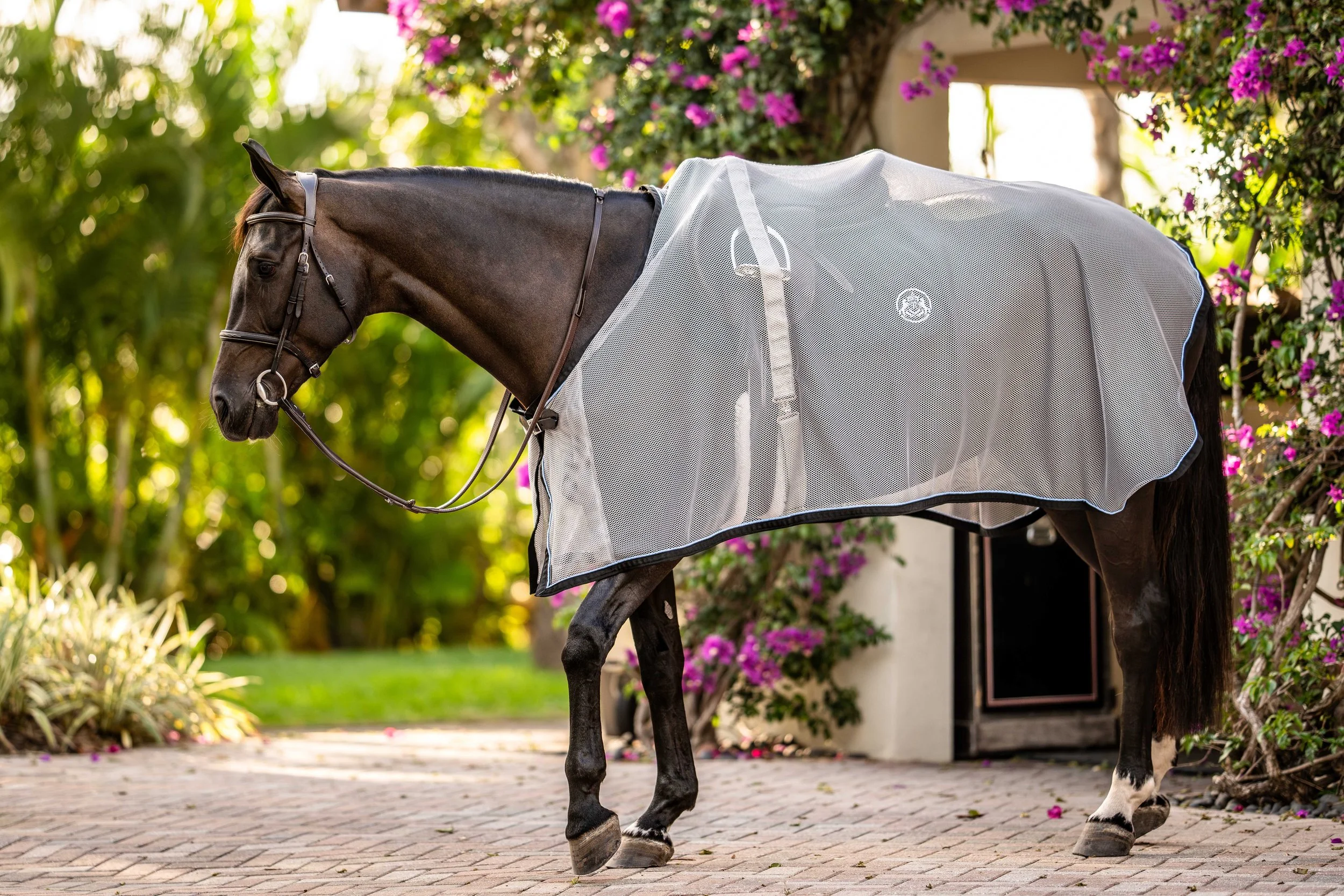 Winter Equestrian Festival 2024 Prize List