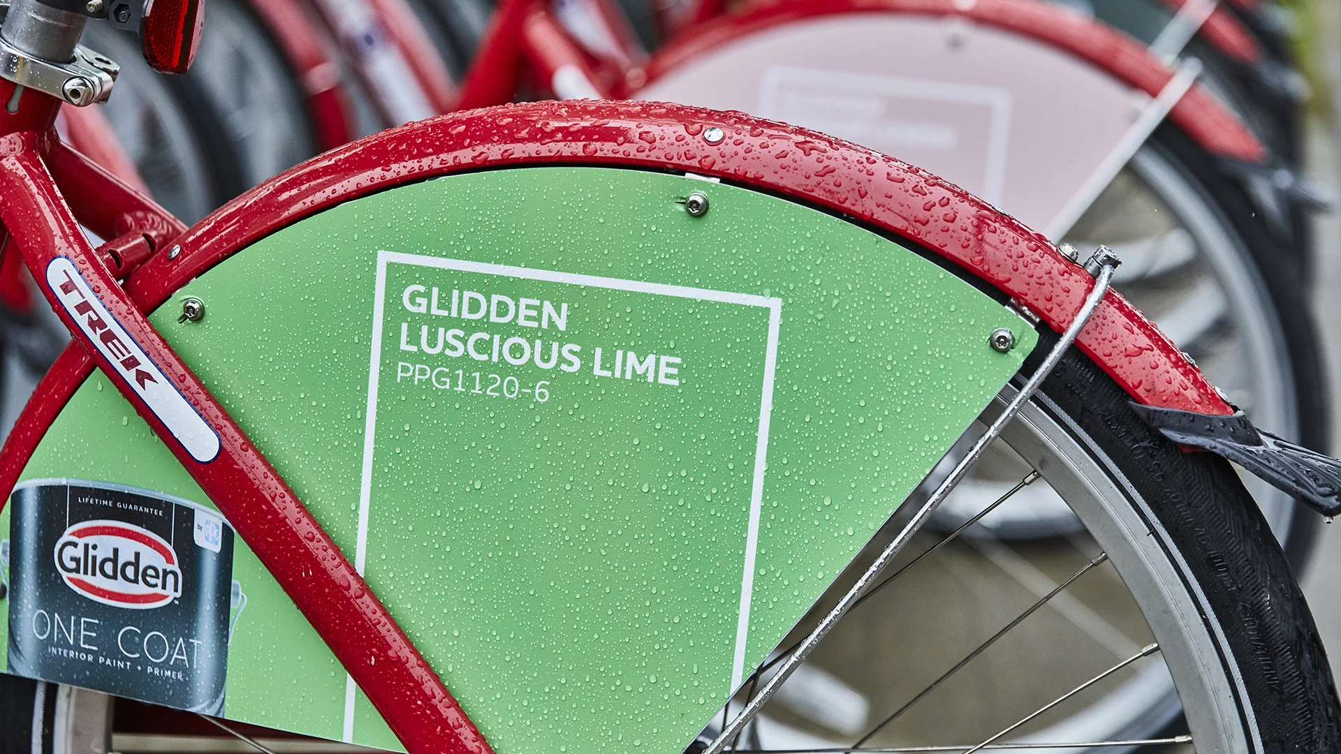 cosgrove_glidden_rcrn_14.jpg