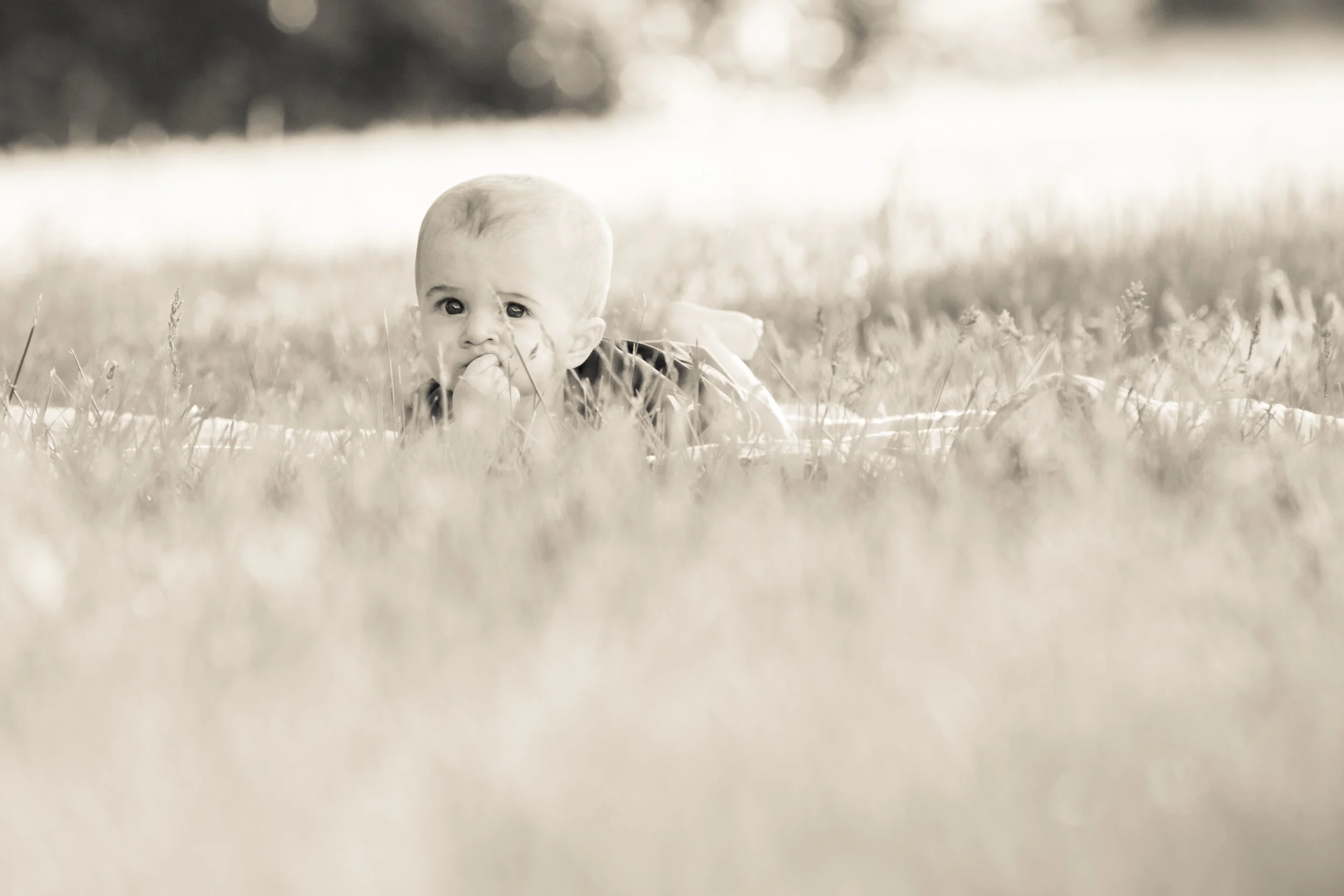 laingfamily2015-4444 copy.jpg