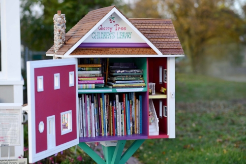 Photo courtesy of Little Free Library