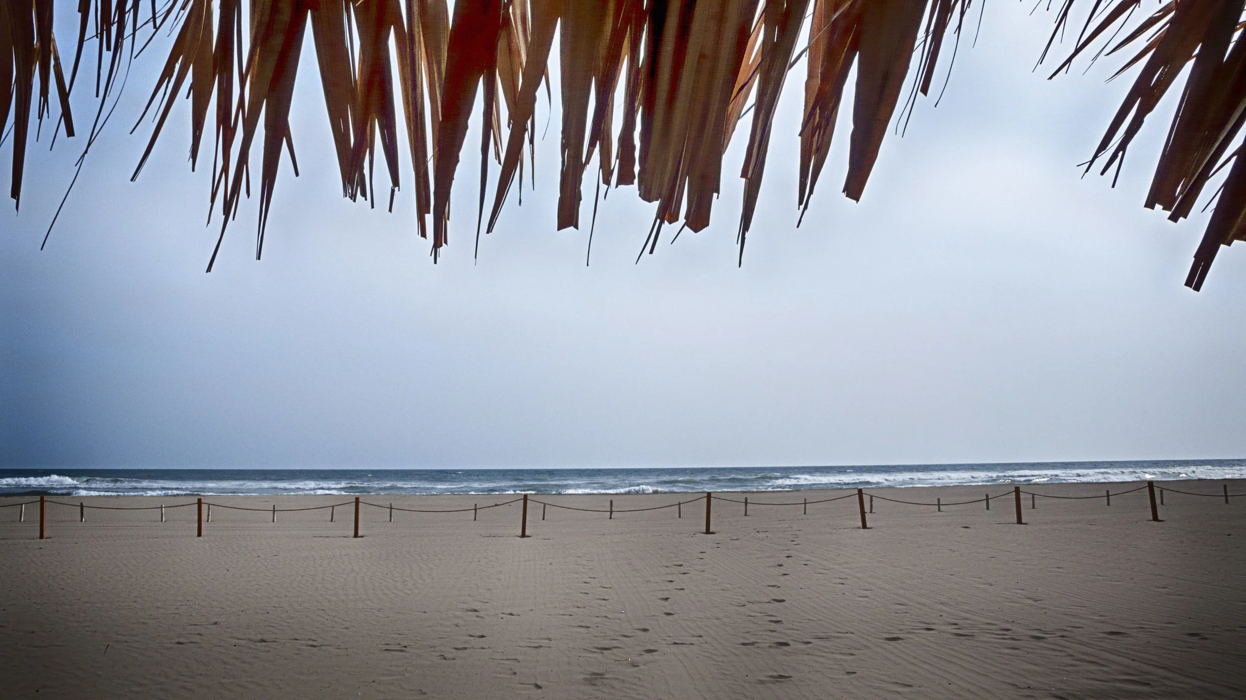 L1080772.jpg