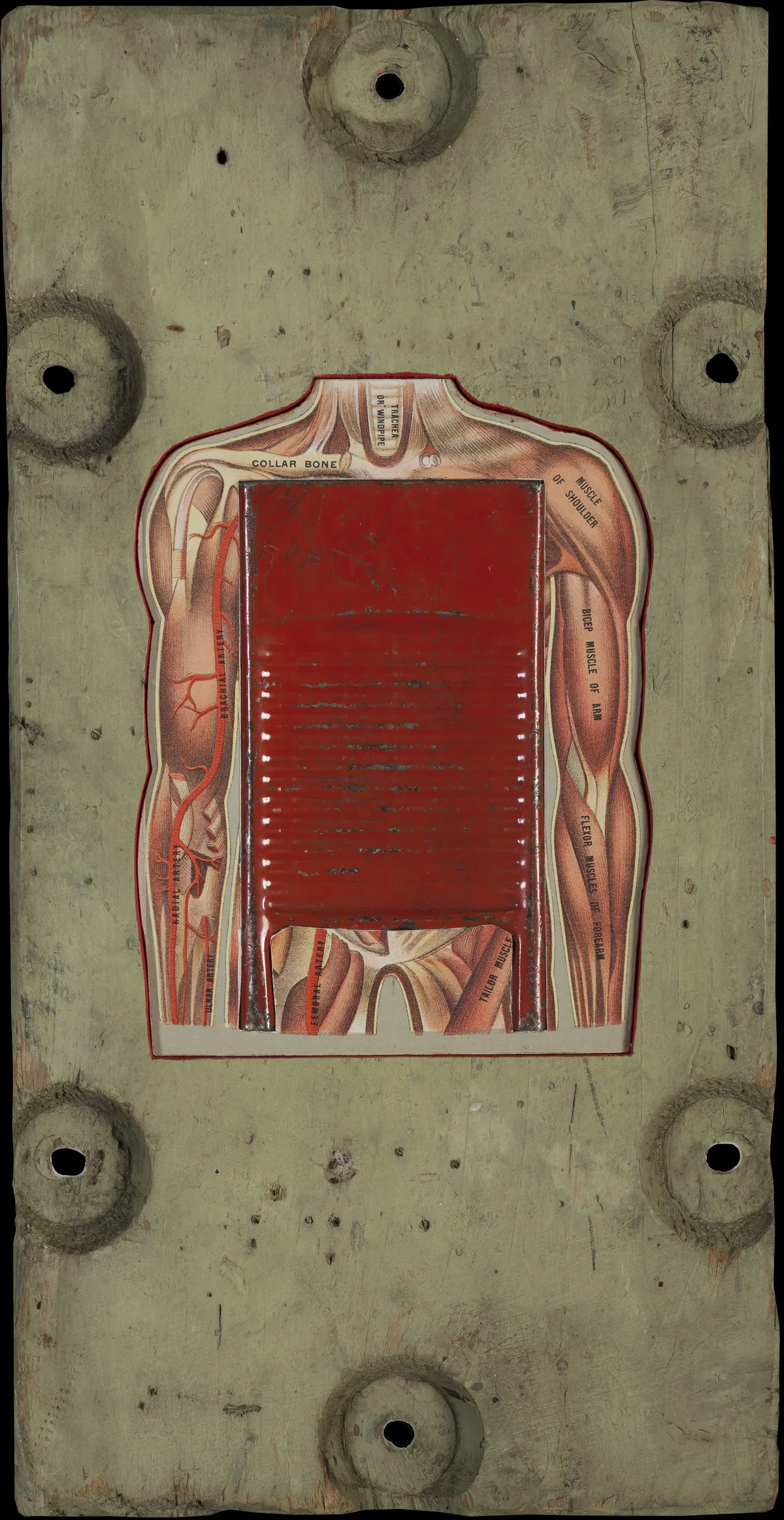Washboard Abs, 2014, 18 x 9 (Sold)