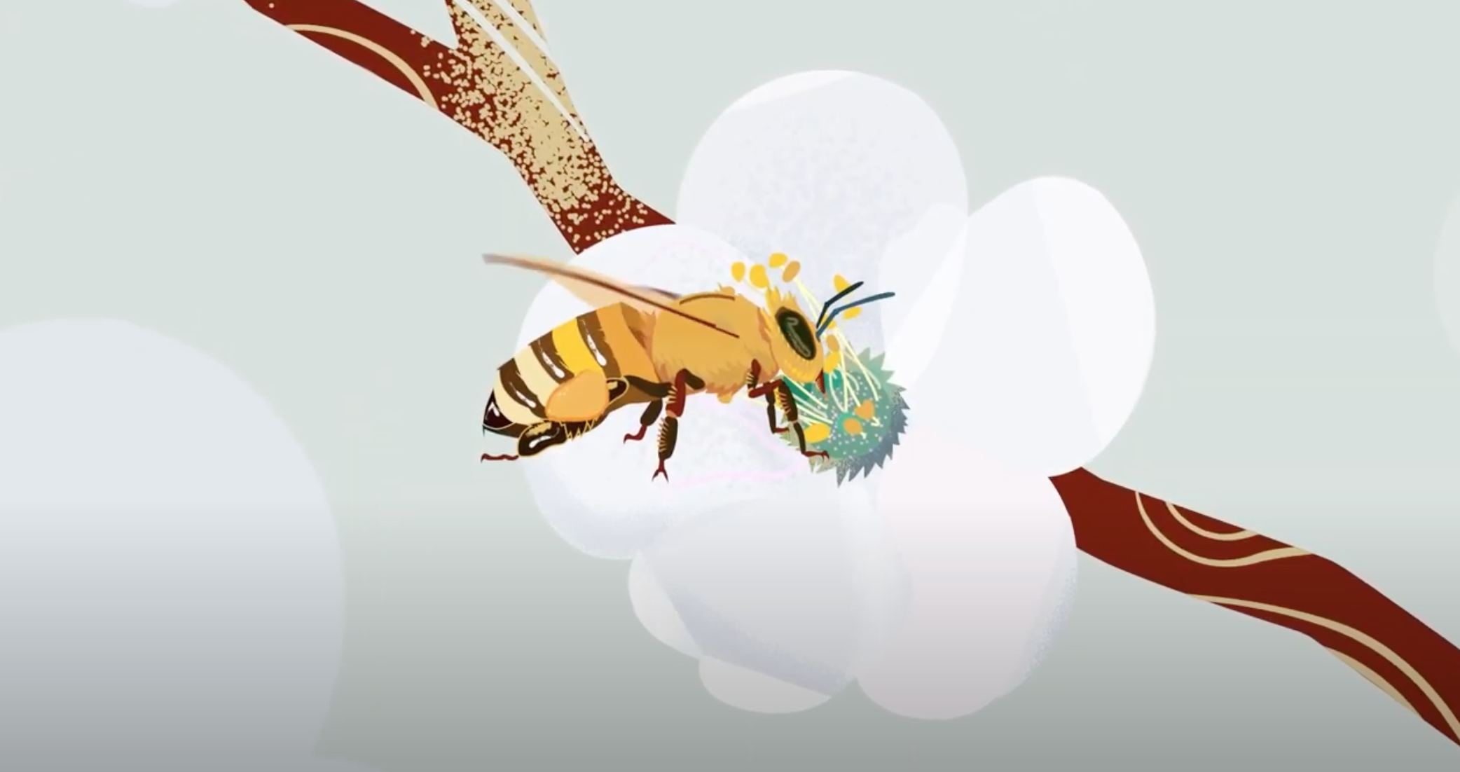 Illustration for "Round and Waggle Dance"