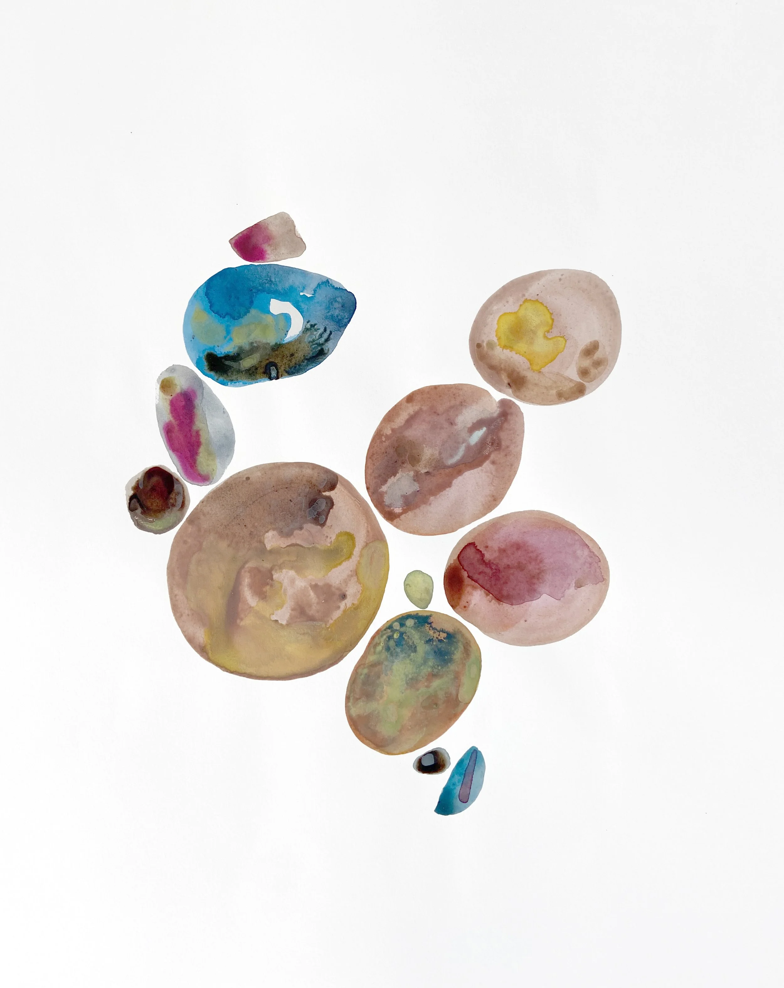 Twelve, five mainly brown