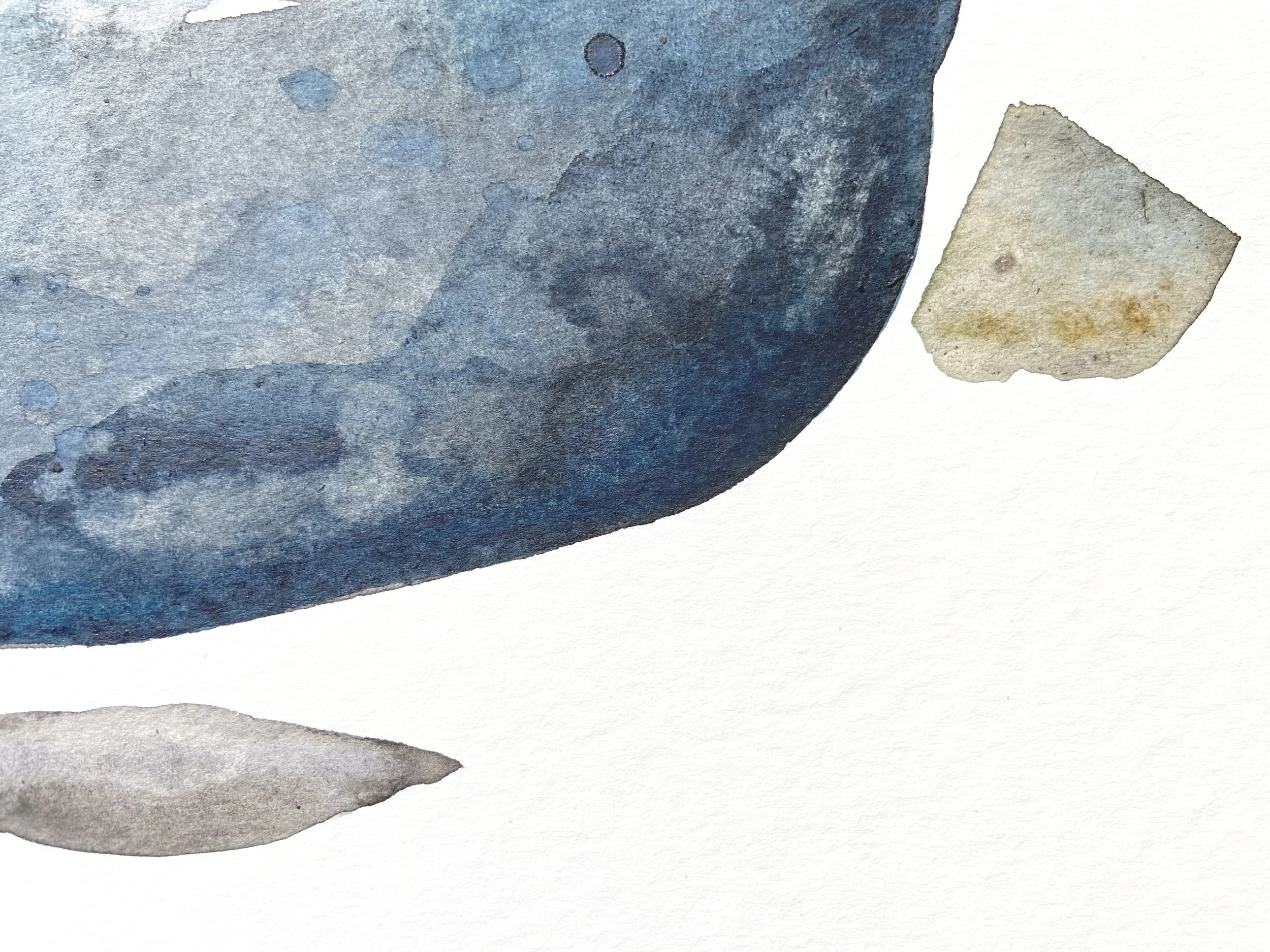 Six, one being large and blue 1.jpg