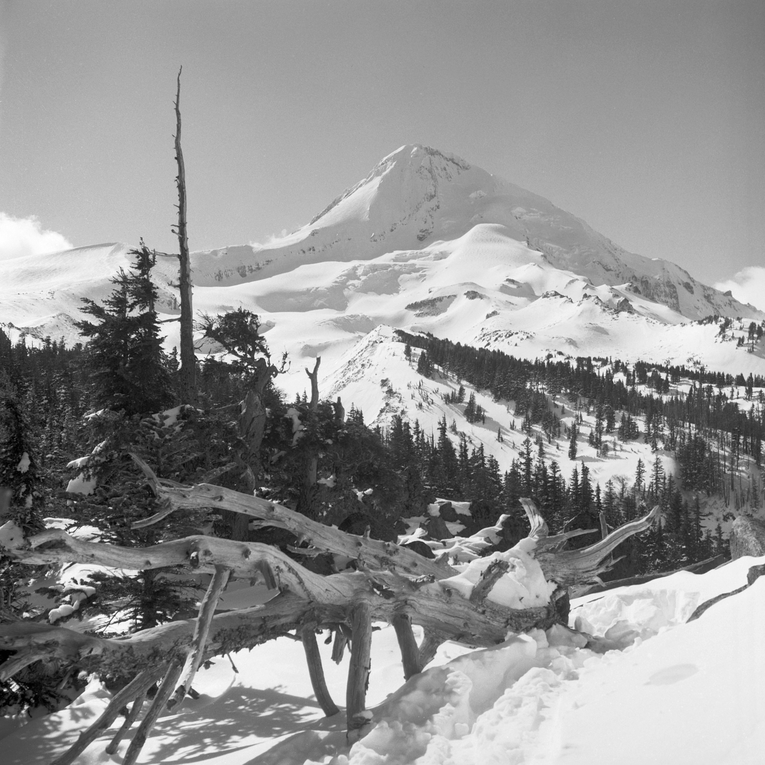 Mount Hood from Cloud Cap