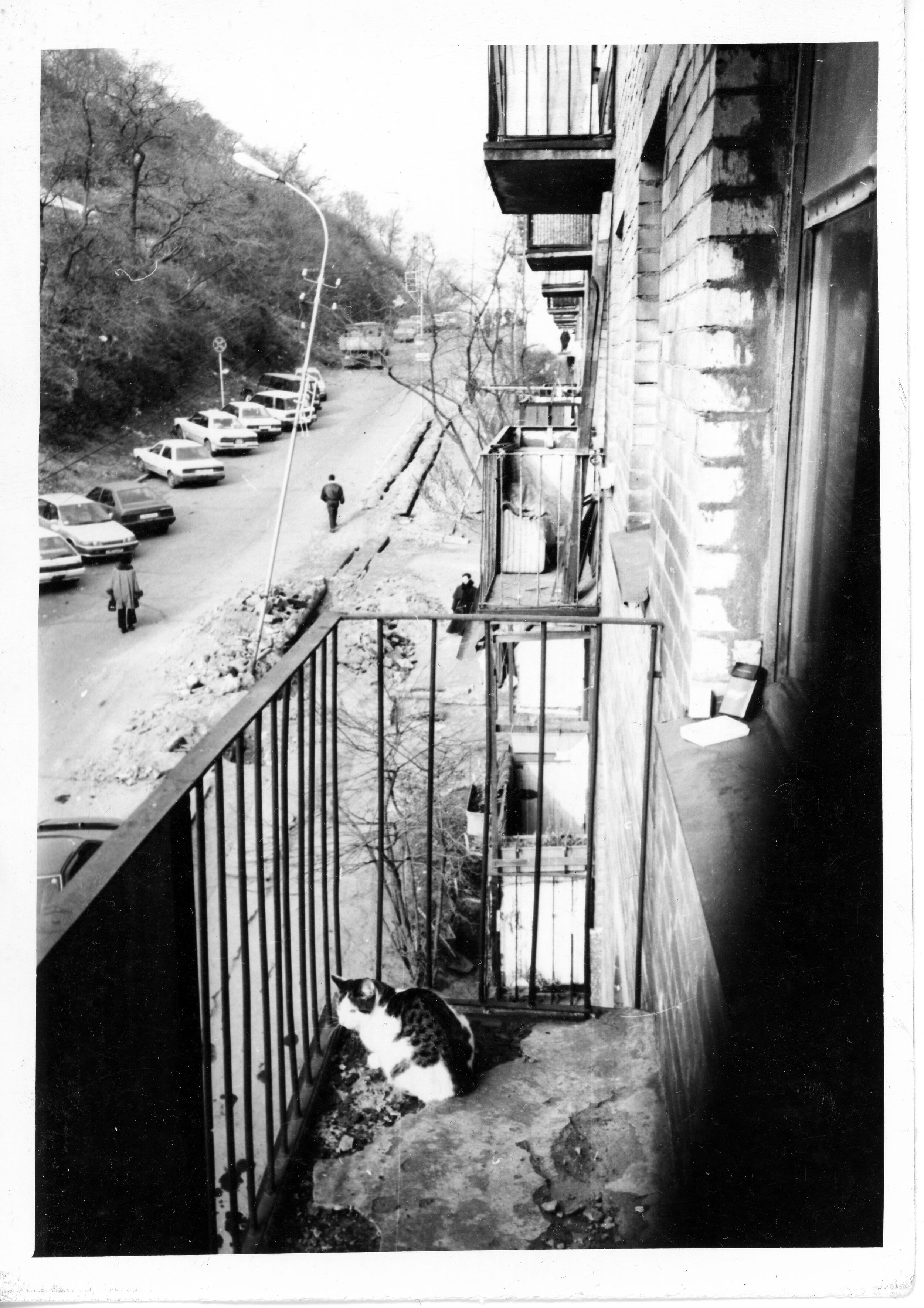 On the Balcony with Taz the Cat, Posyetskaya Street, Vladivostok