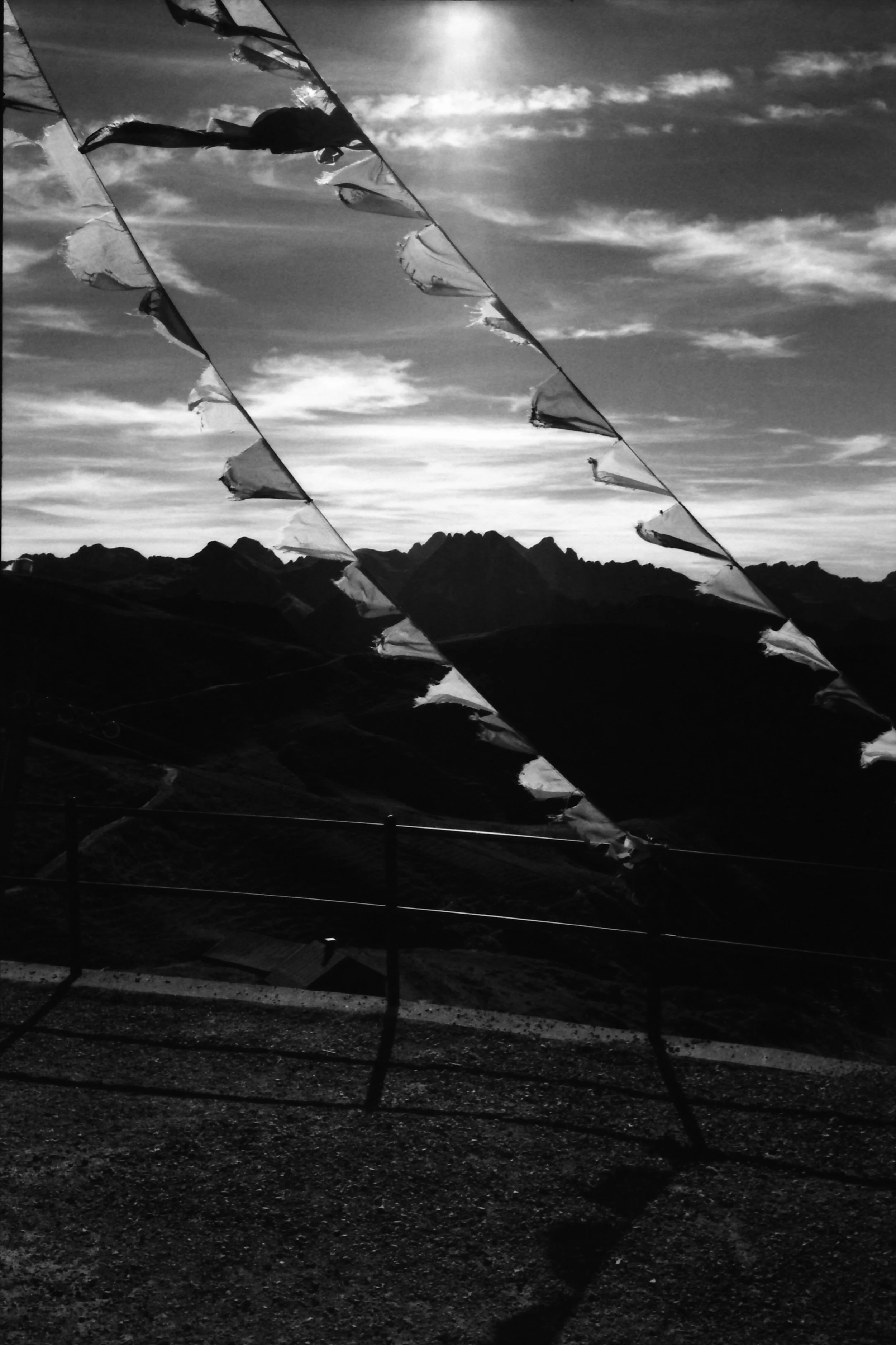 Silvermax_0014.jpg