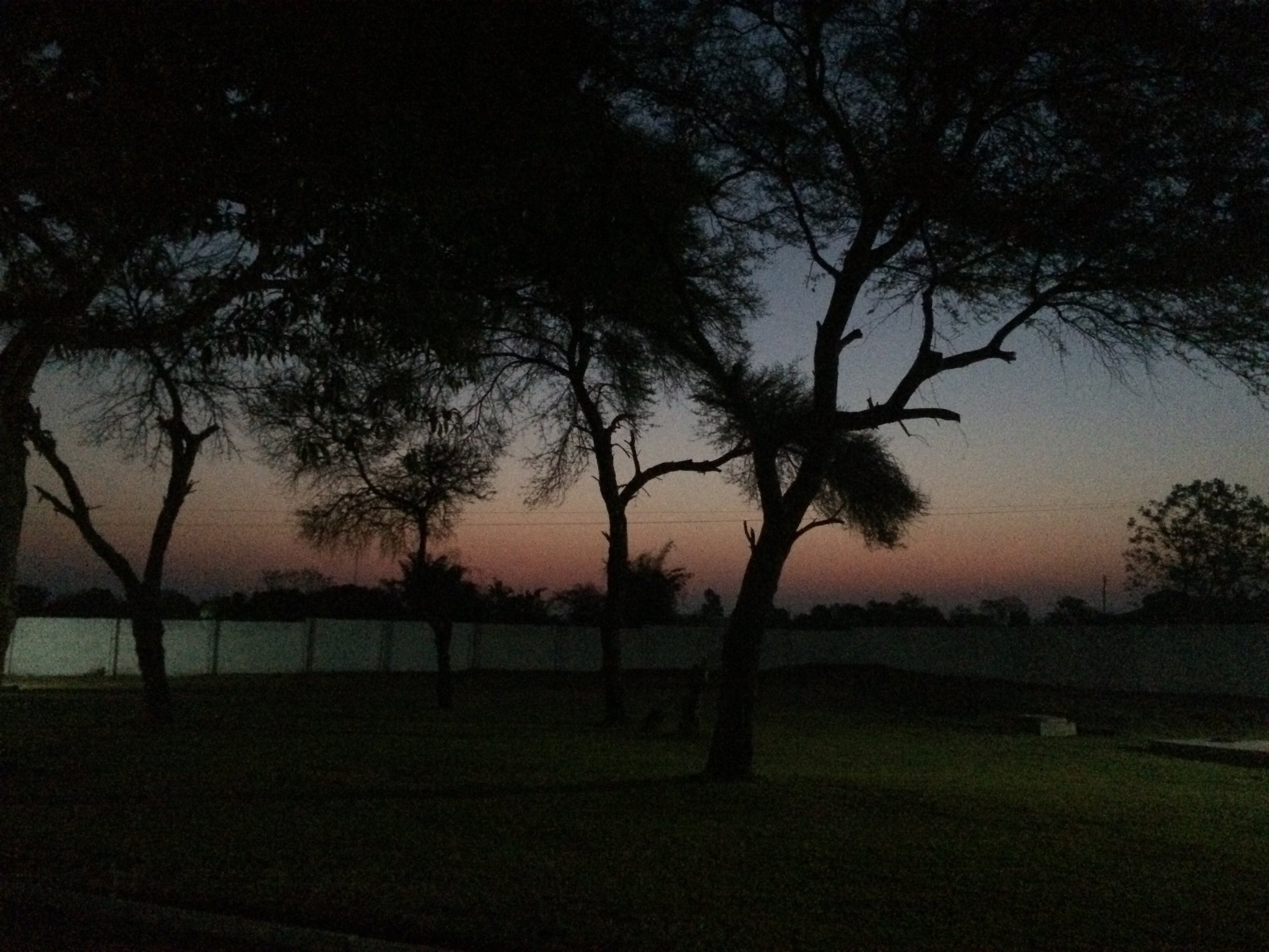 Sun setting behind the Zambia Council of Church compound in Lusaka. 