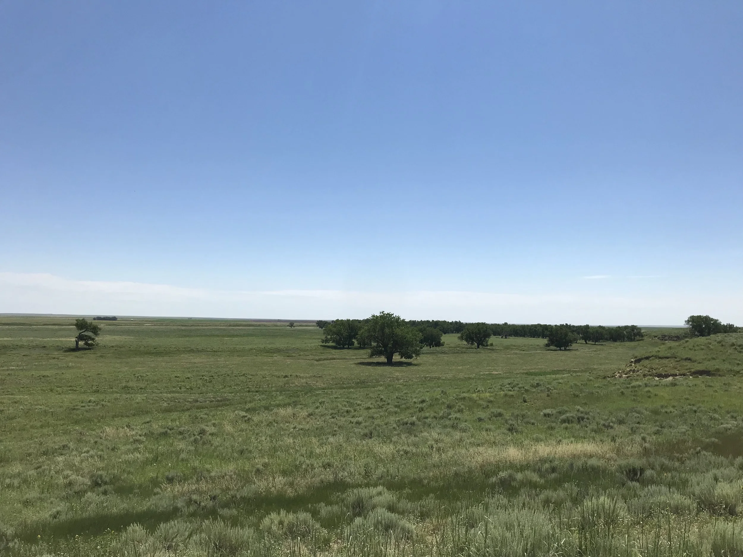 Sand Creek