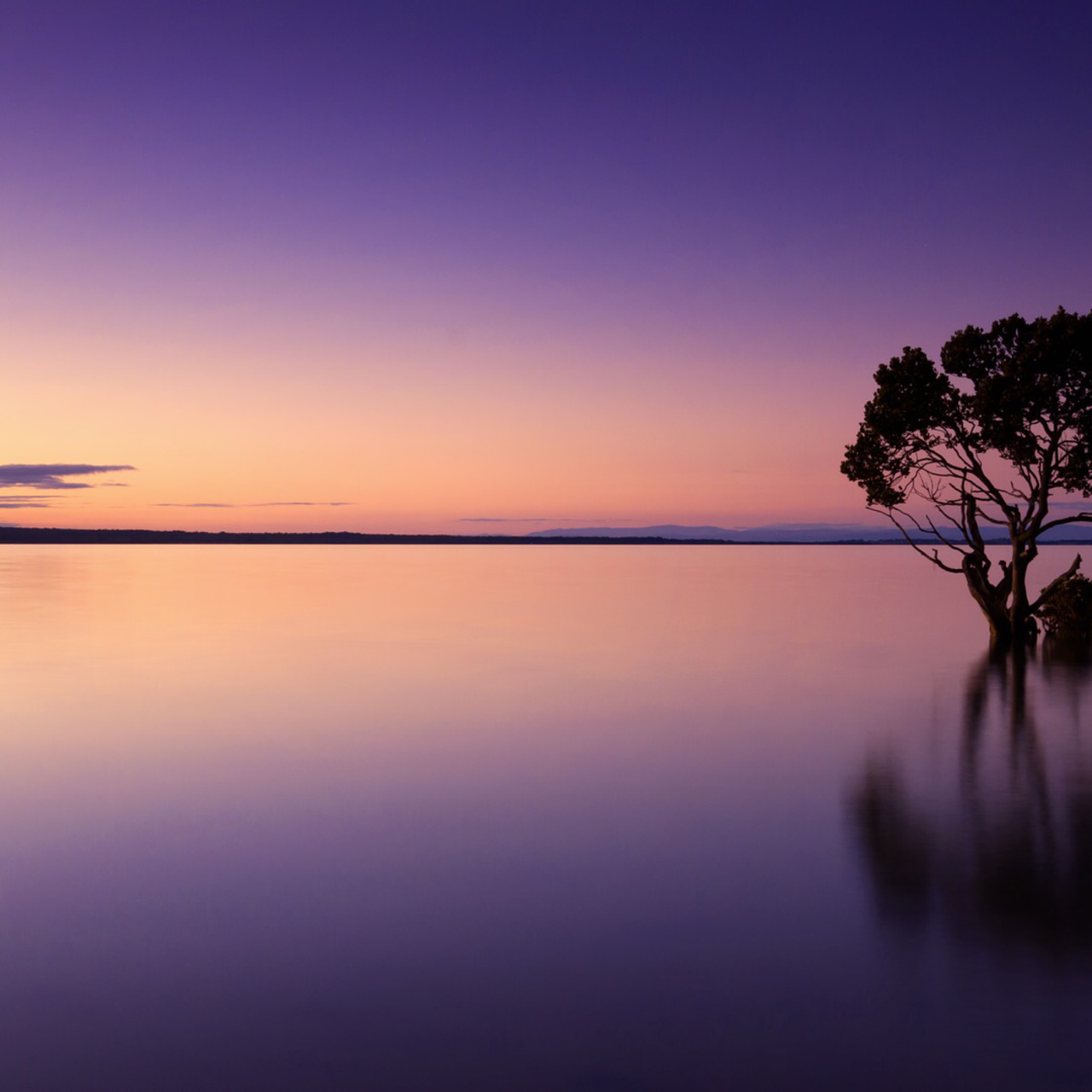 A Meditation on Acceptance