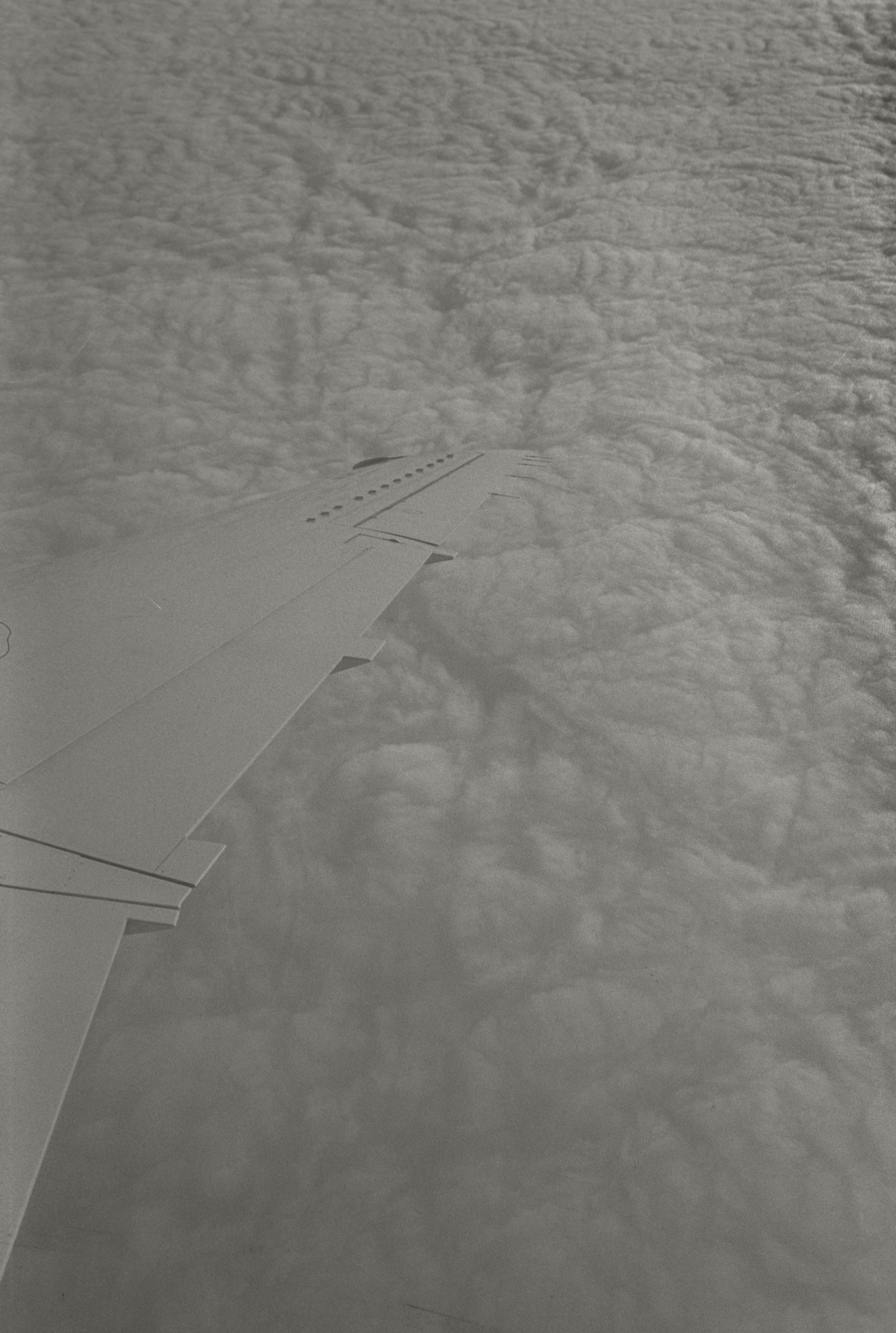 wing with clouds.jpg
