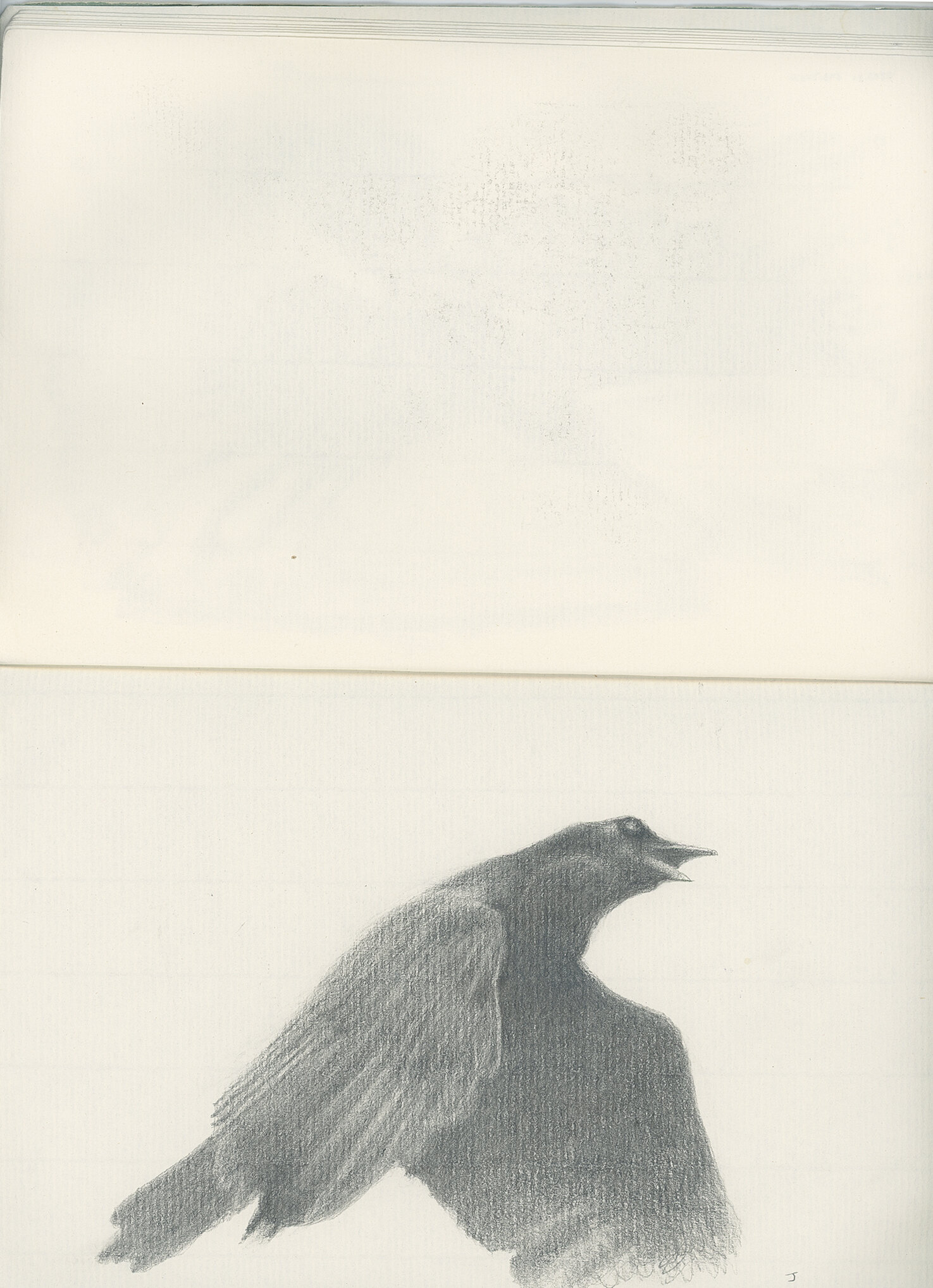 crow sketchbook 01-web.jpg