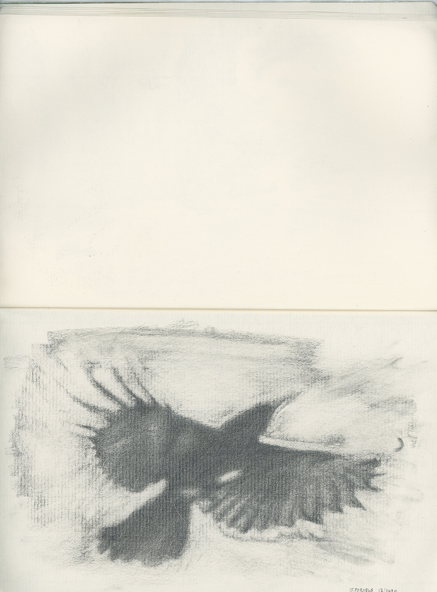 crow sketchbook 02-web.jpg