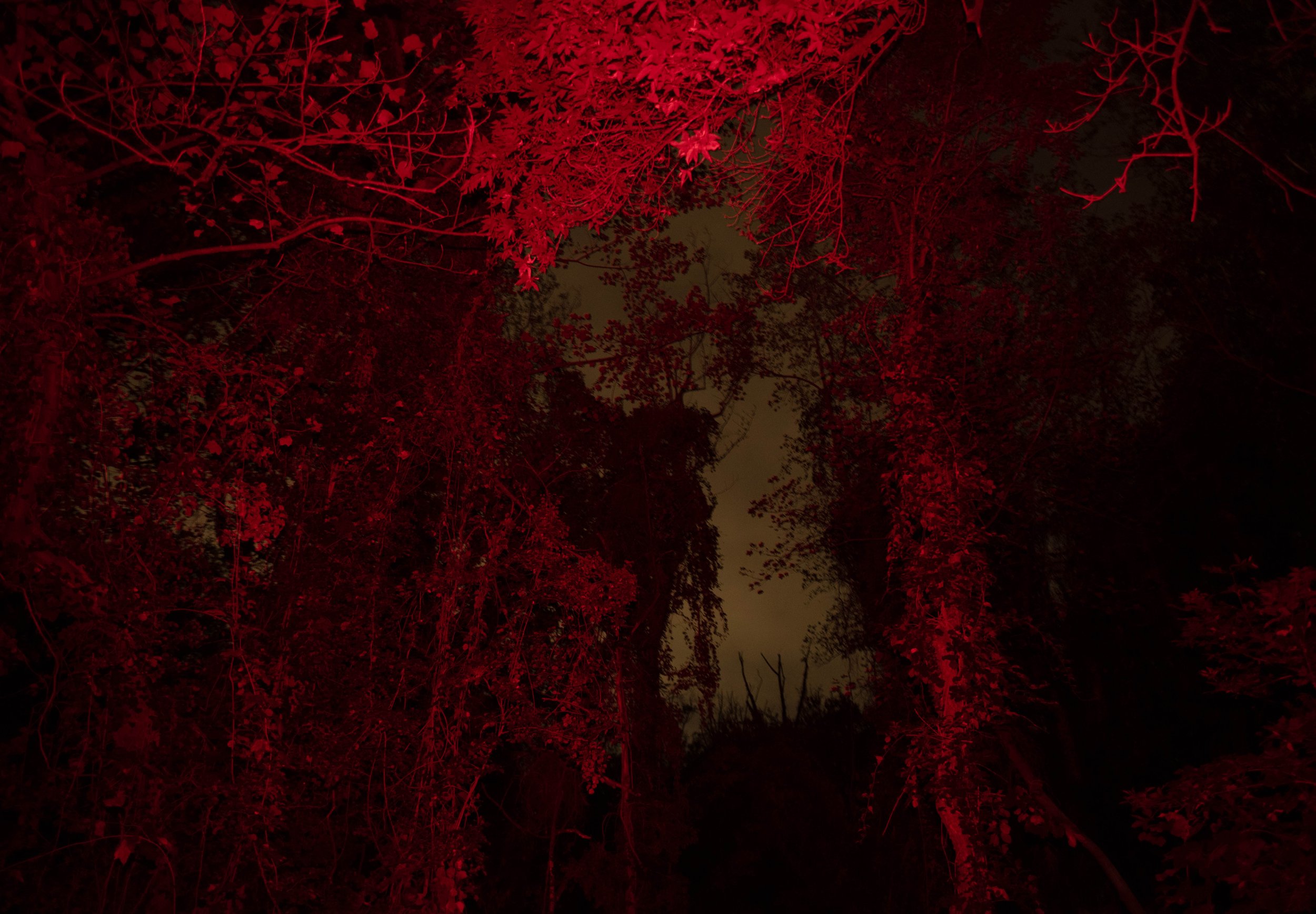 red october night 01.jpg