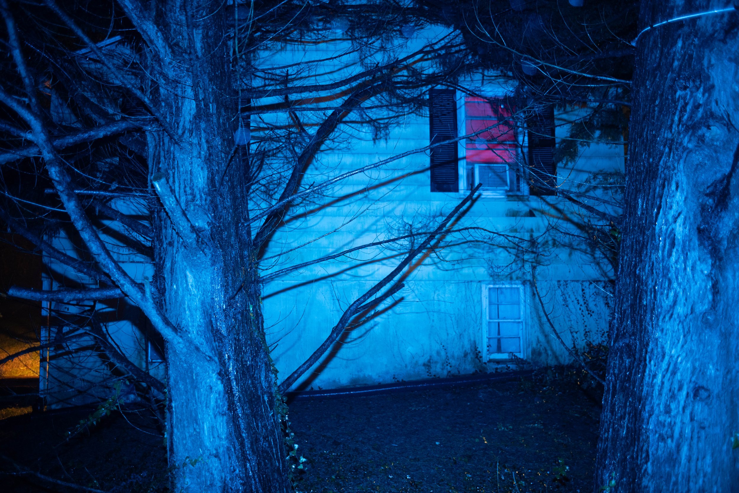 red window blue house.jpg