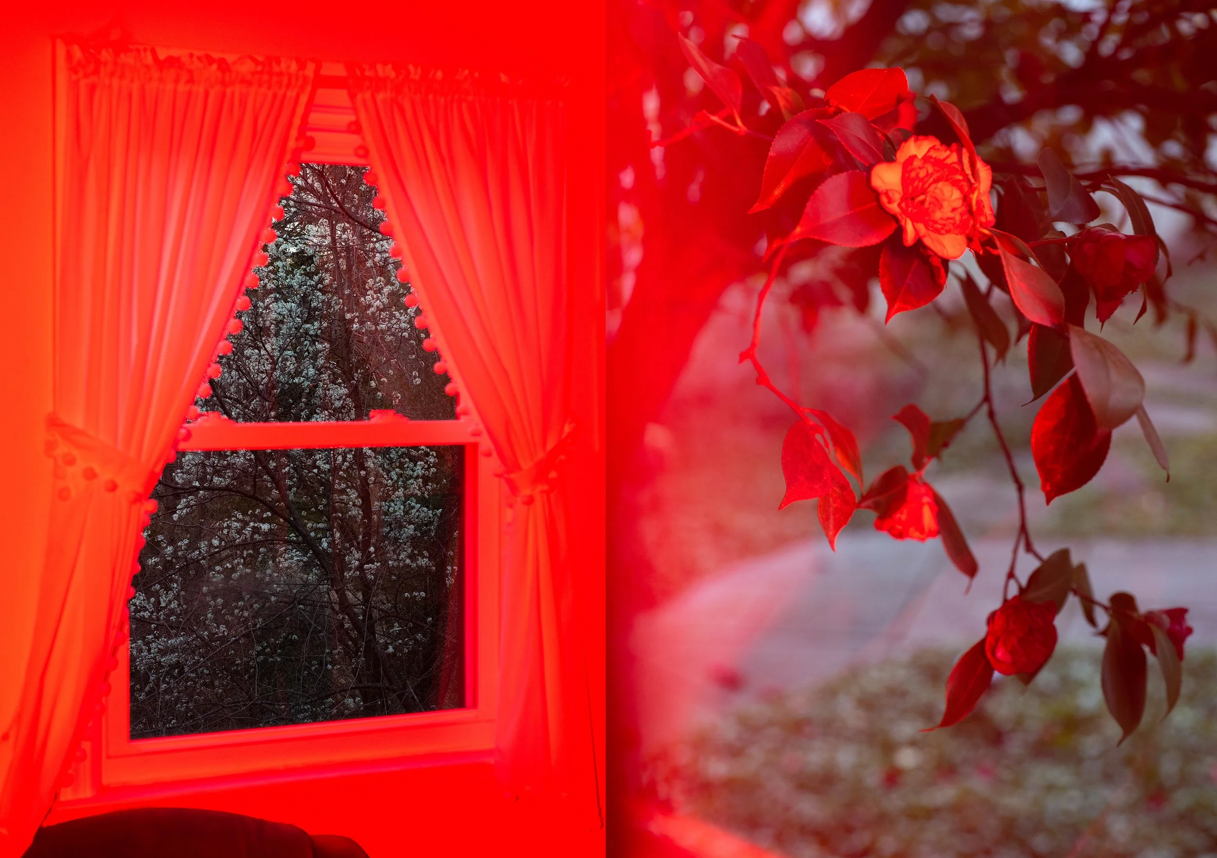 redspring diptych.jpg