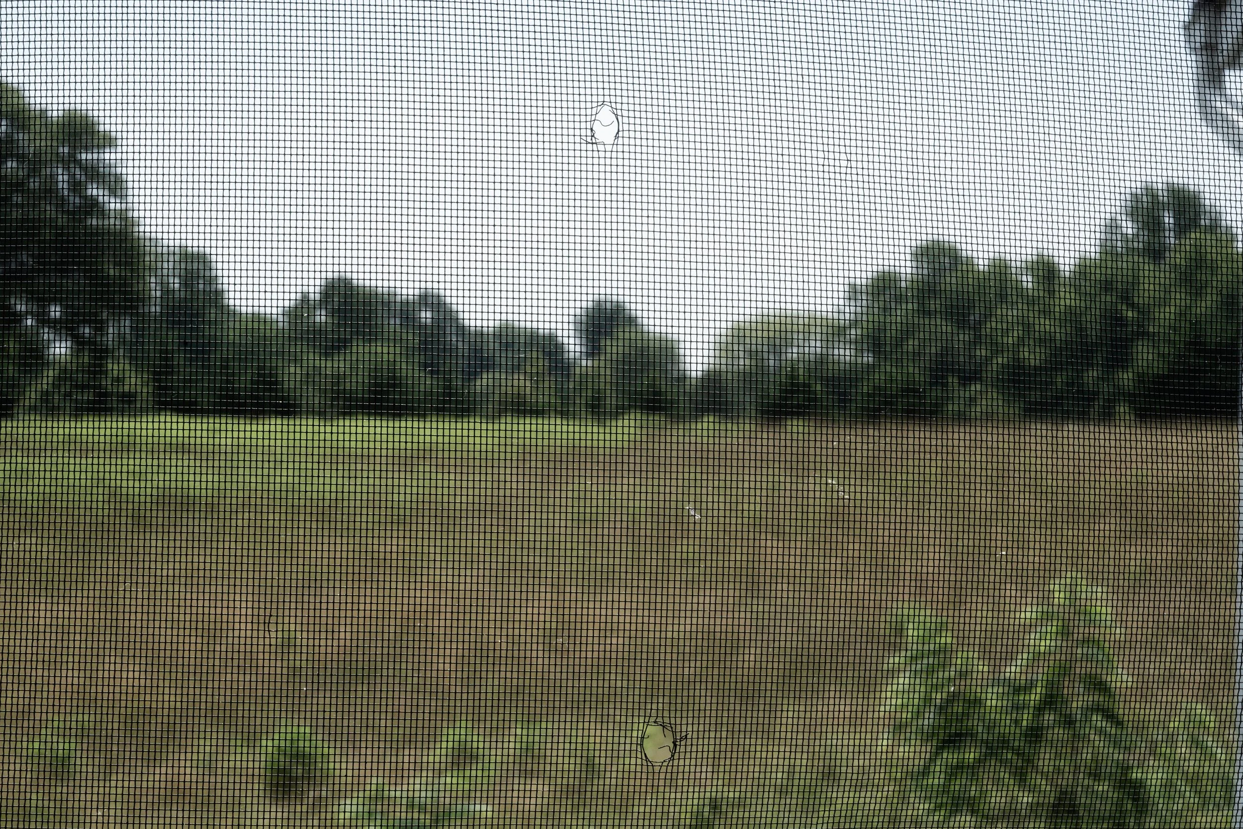 Unknown 5151.jpg