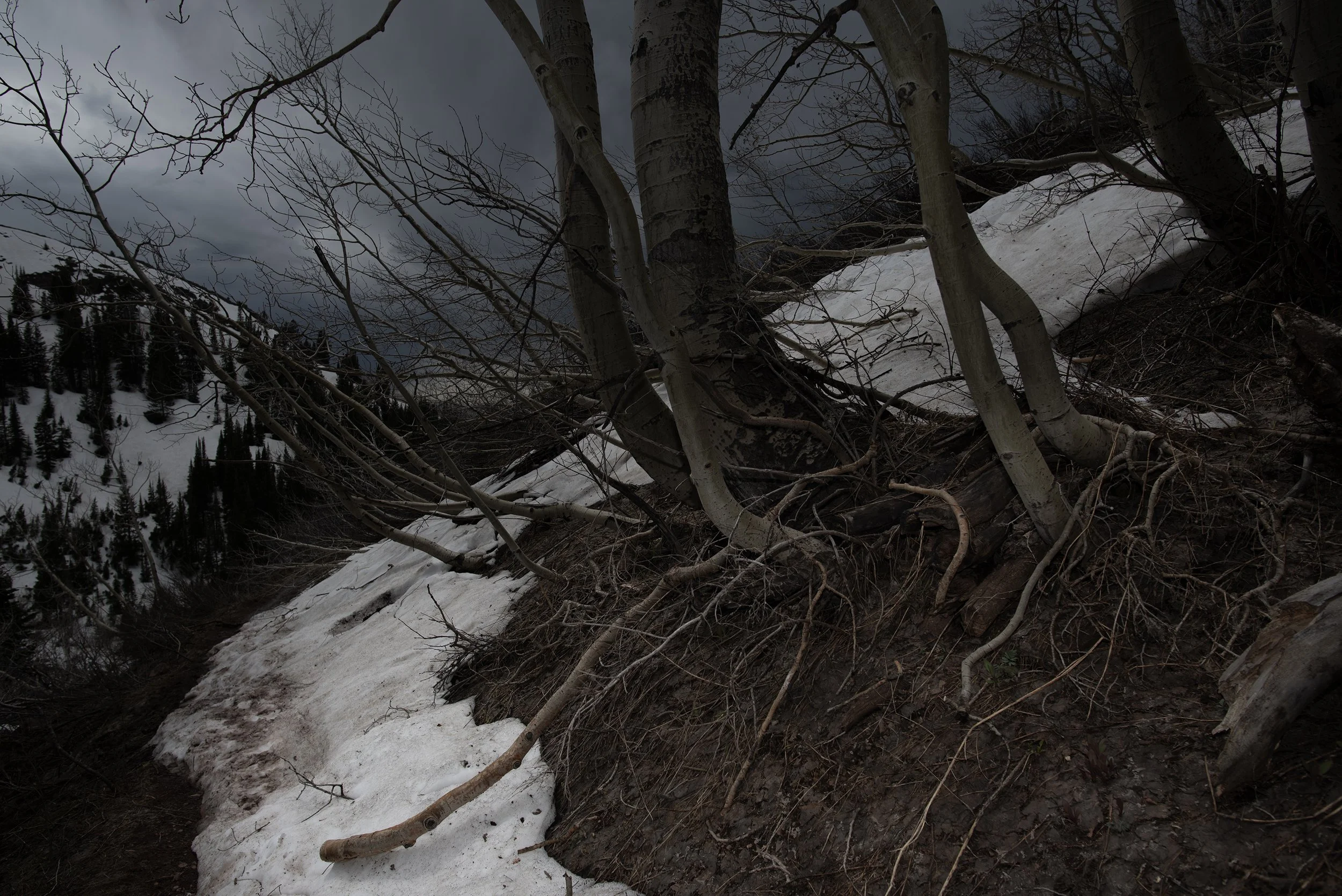 deep winter 2025 011.jpg