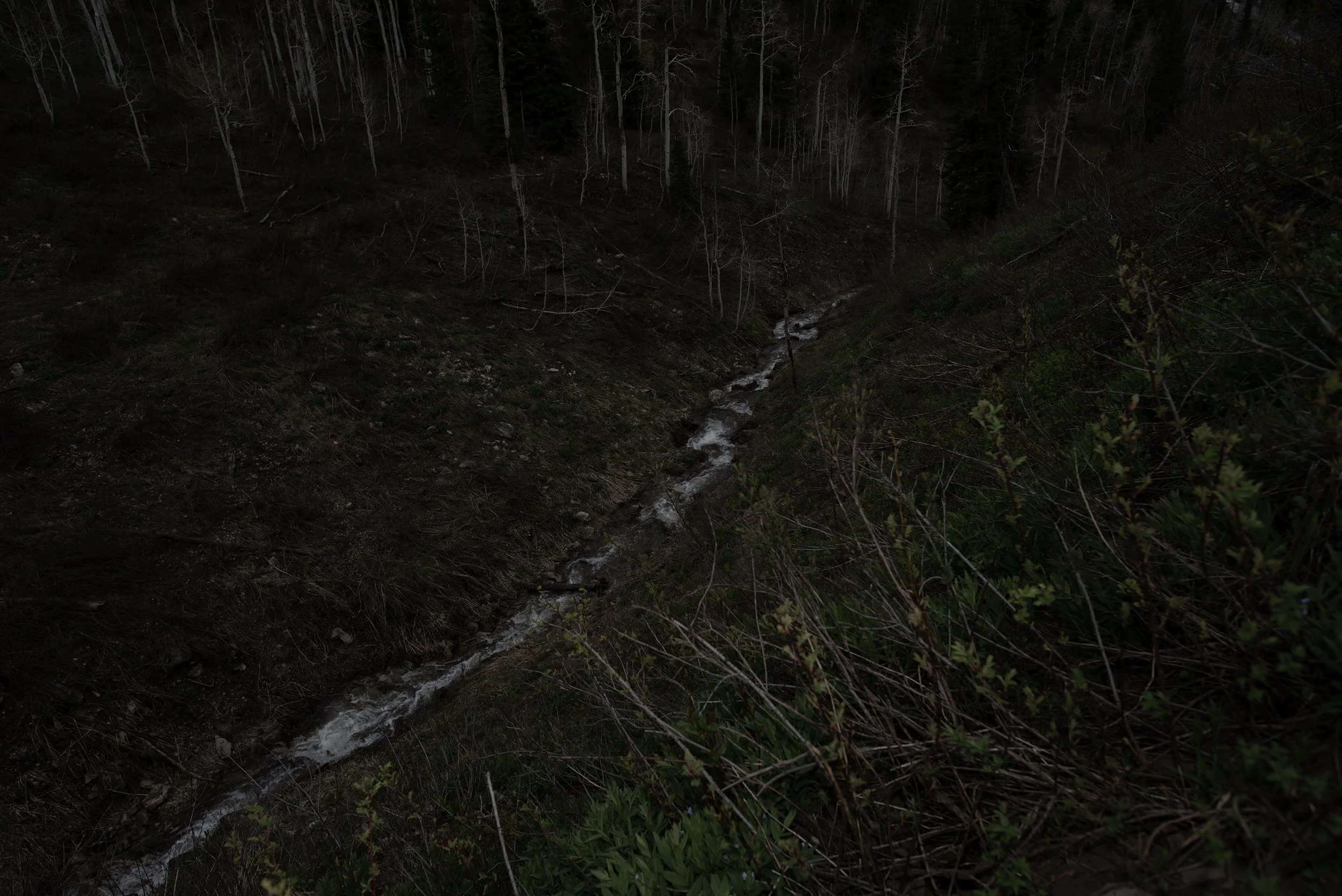 deep winter 2025 016.jpg