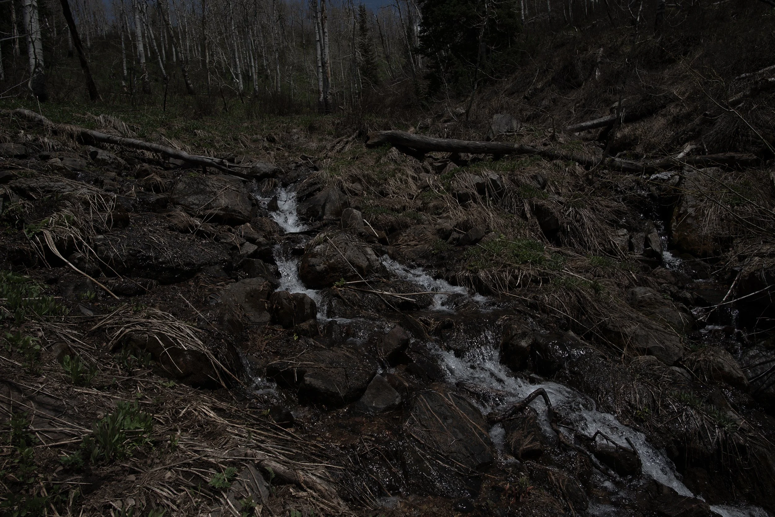 deep winter 2025 027.jpg