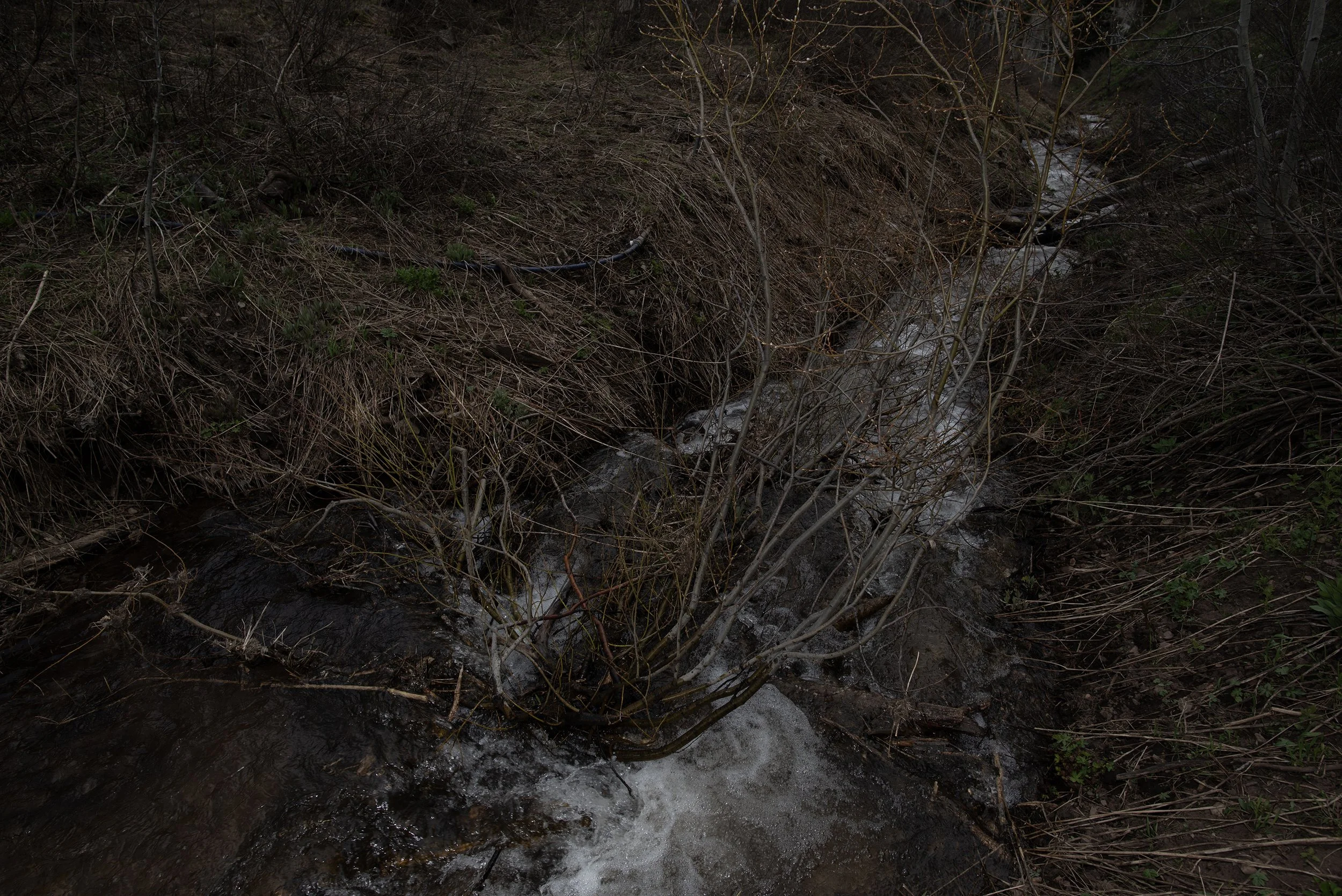 deep winter 2025 015.jpg