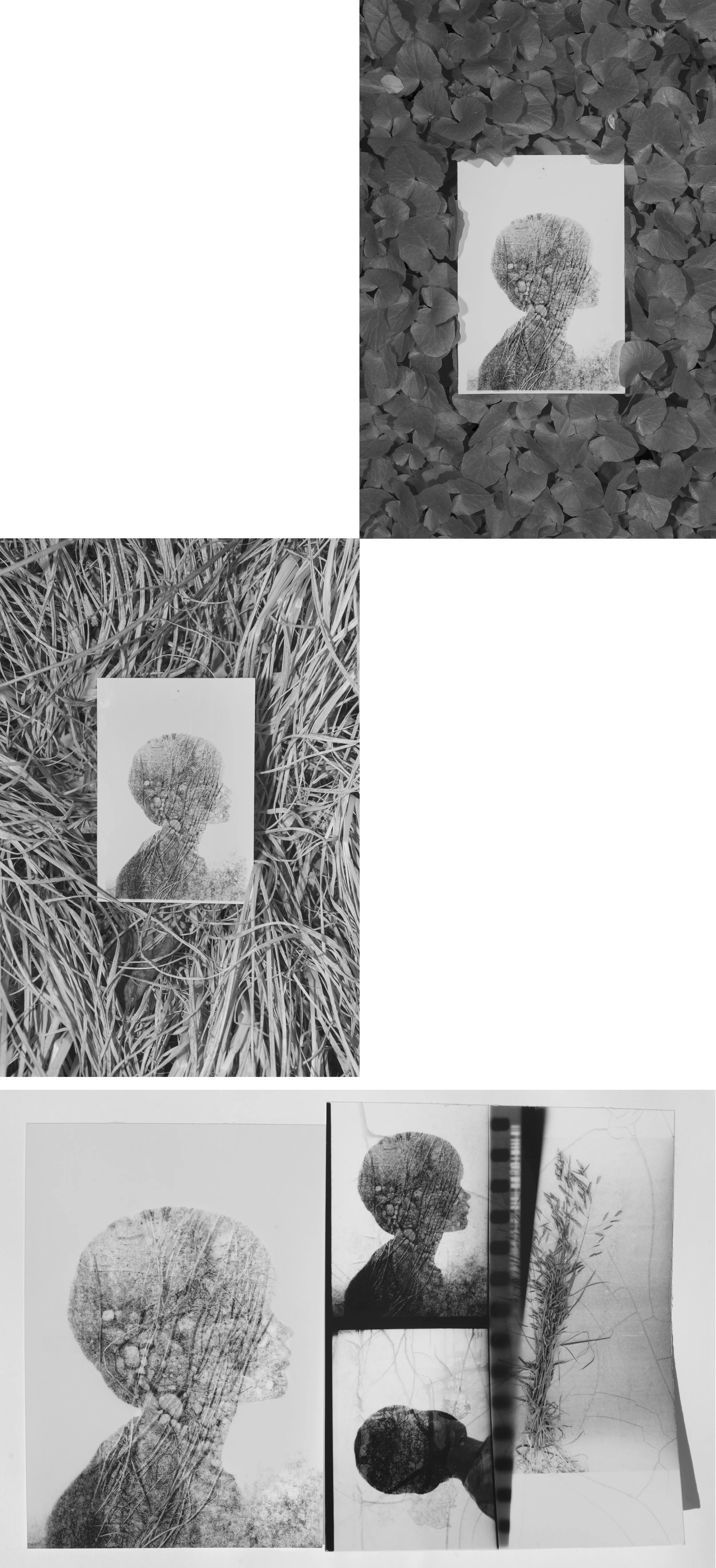 nascent spring 111.jpg