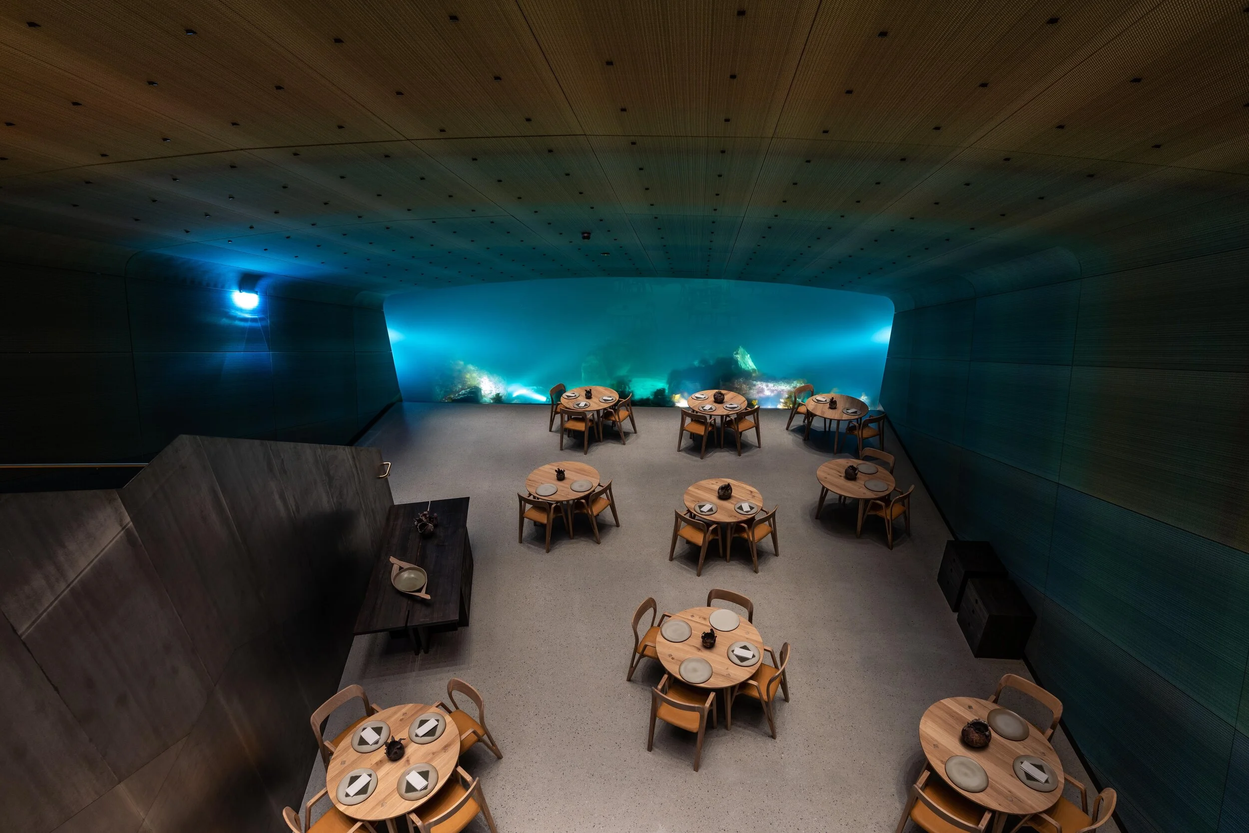 _DSC2696 Under_Photocredit @Tomasz Majewski.jpg