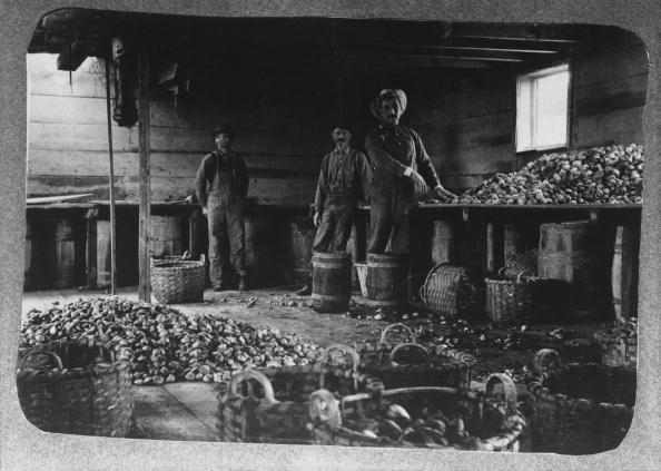 Interior view of an oyster barge on the waterfront in New York City, circa 1890. Workers are shown with oysters strewn across the worktops and floor. Image credit: Archive Photos/Getty Images